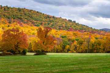 Berkshires