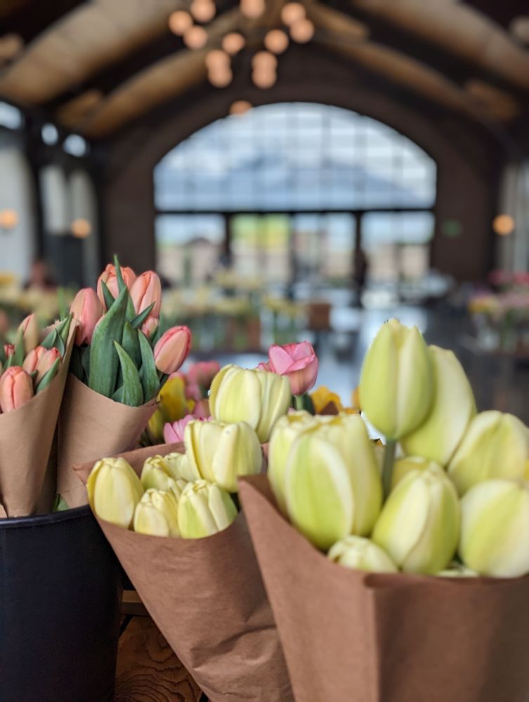 Utah Flower Market from Utah Flower Market