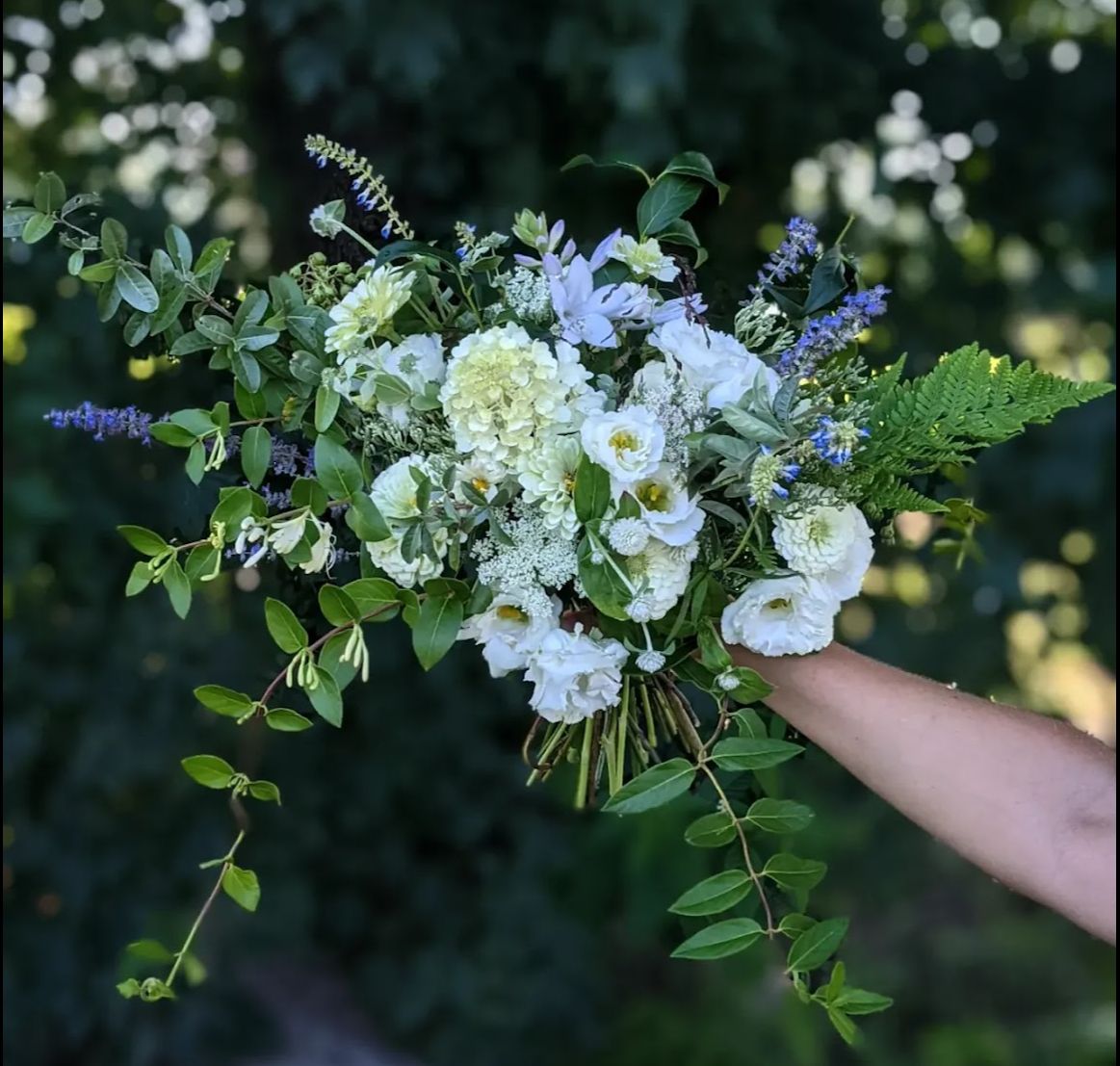 Part 1: Designers Guide for Embracing Seasonality & Setting Expectations