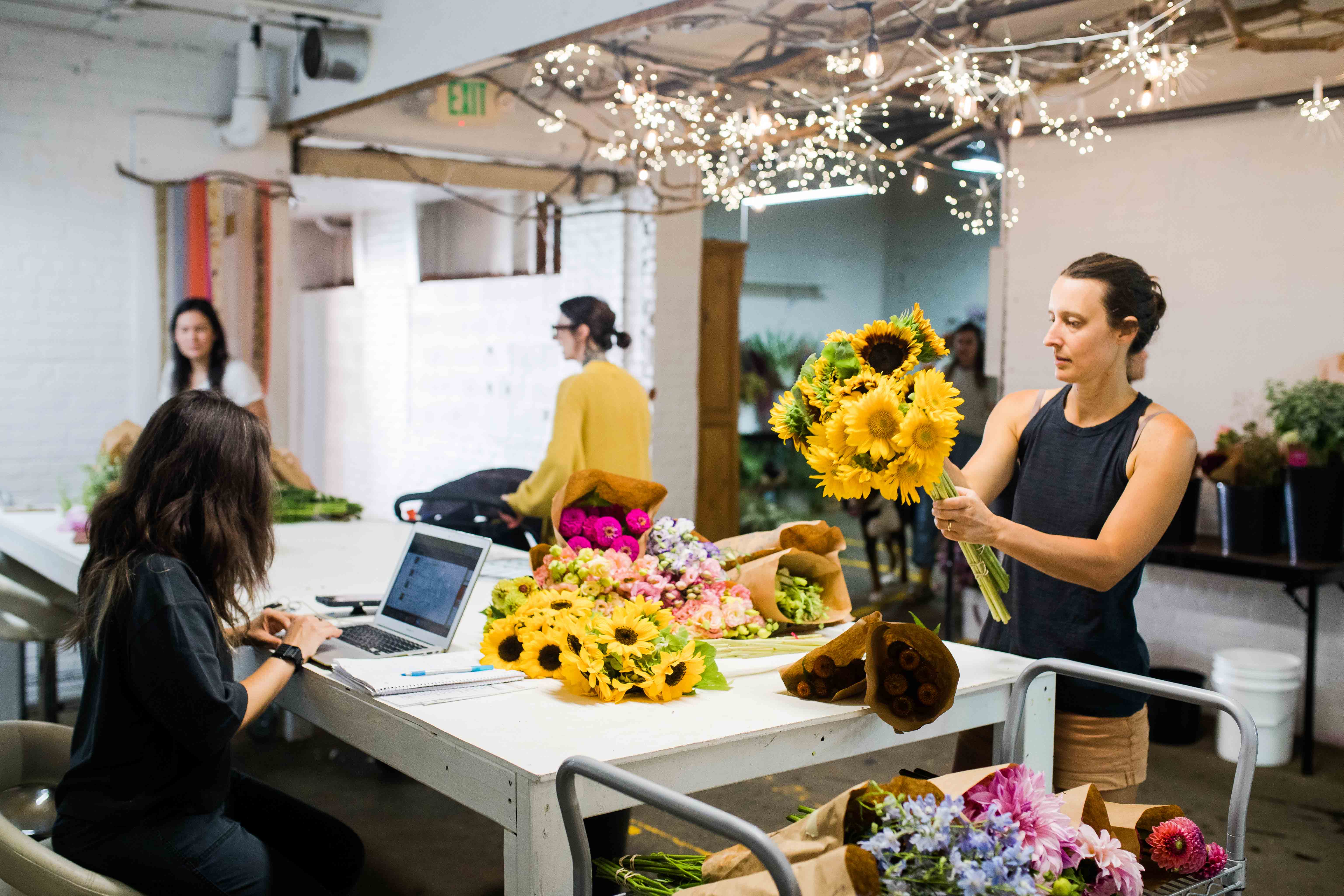 Grant Opportunity: Calling all Collectives and Hubs!