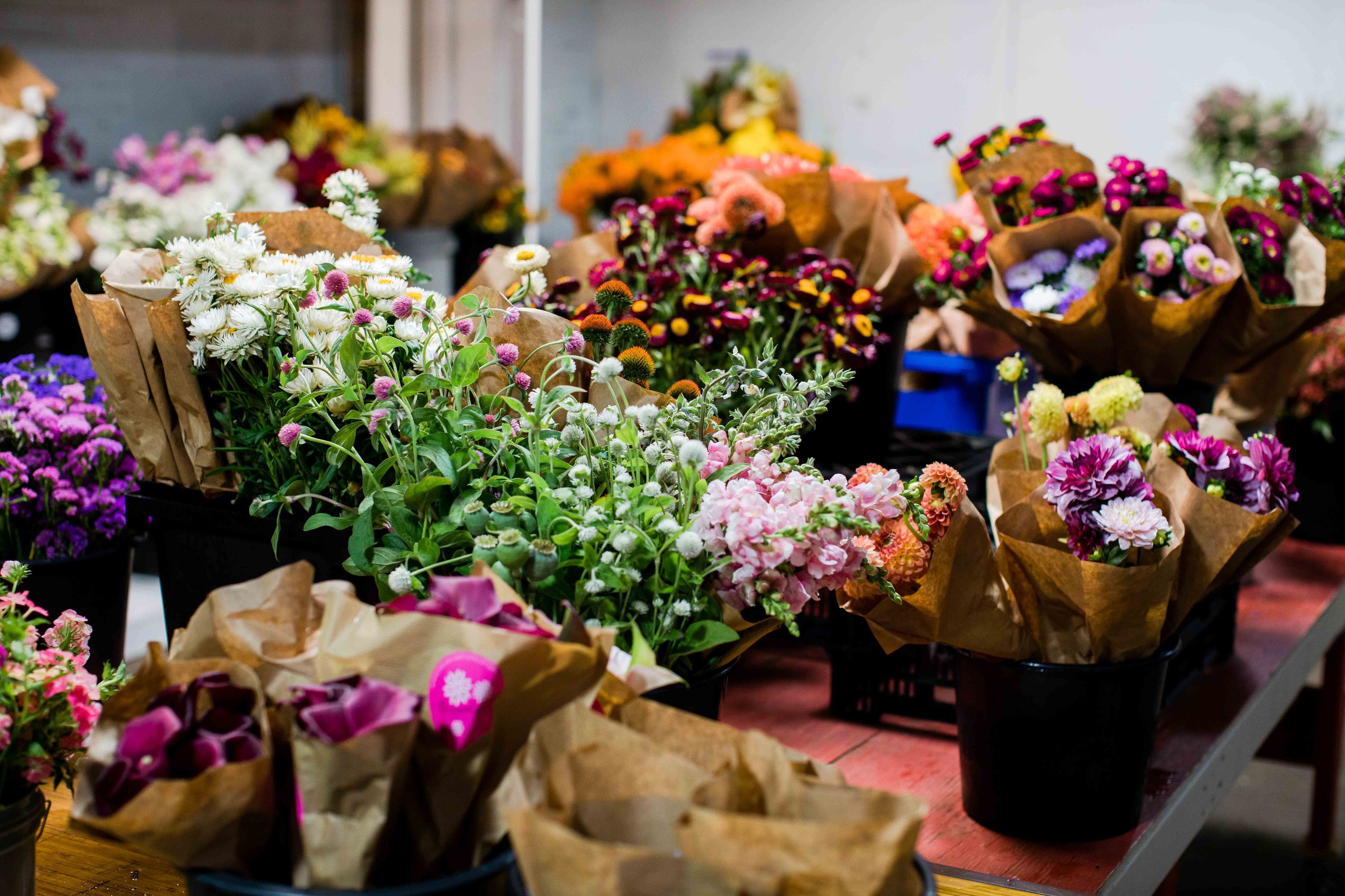 The 5 W’s + H of Starting a Hub, Coop, or Farm Collective