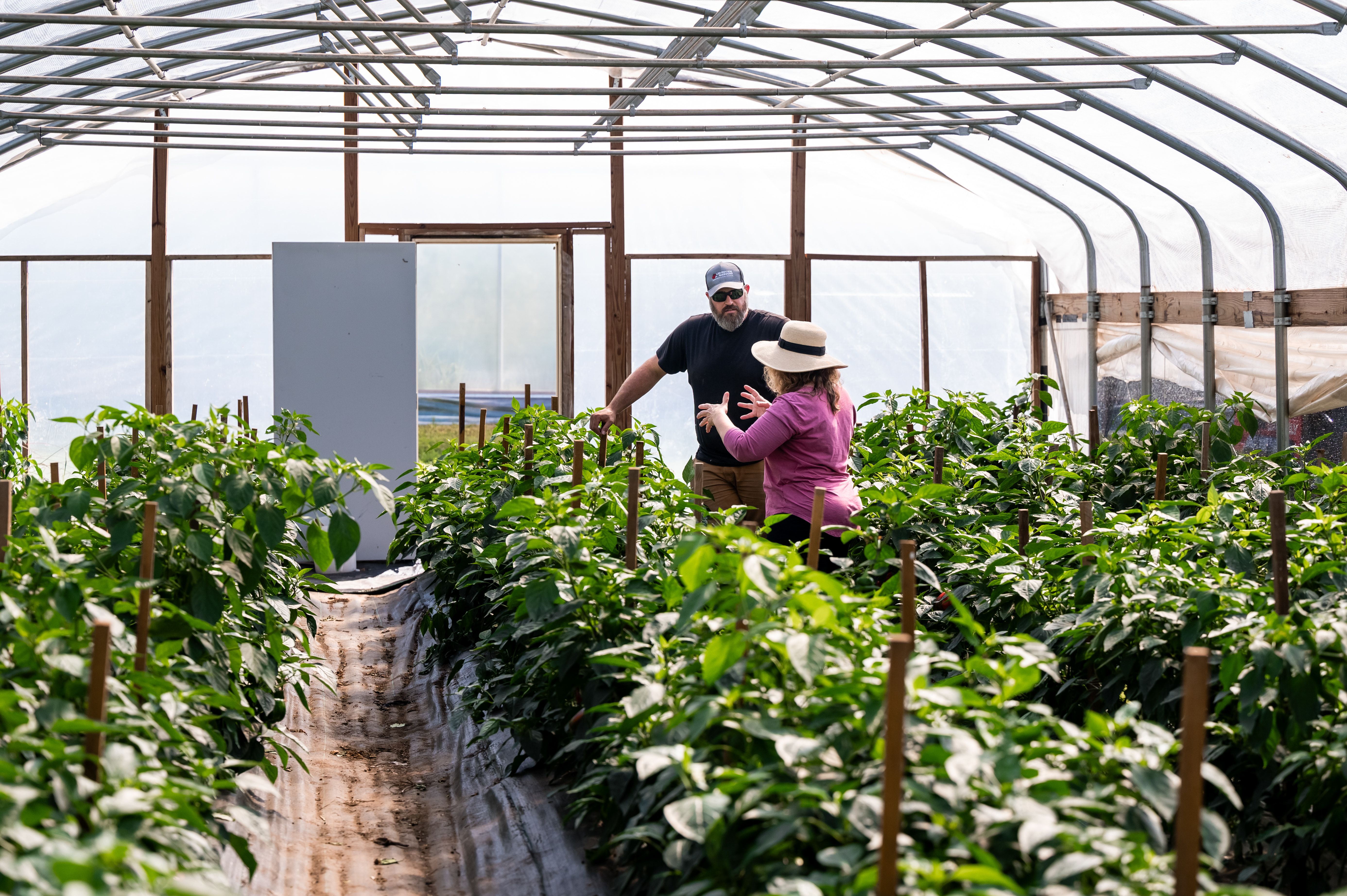 Announcing Rooted Farmers' Two Grant Programs for Producer Hubs in 2026