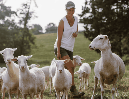 Susanna Thornton from Thornfield Farm/Blue Ridge Farmer Collective