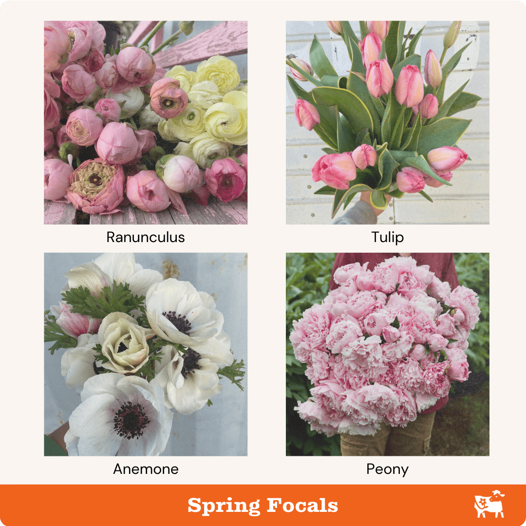 Spring focal flowers are ranunculus, tulips, anemones, and peonies