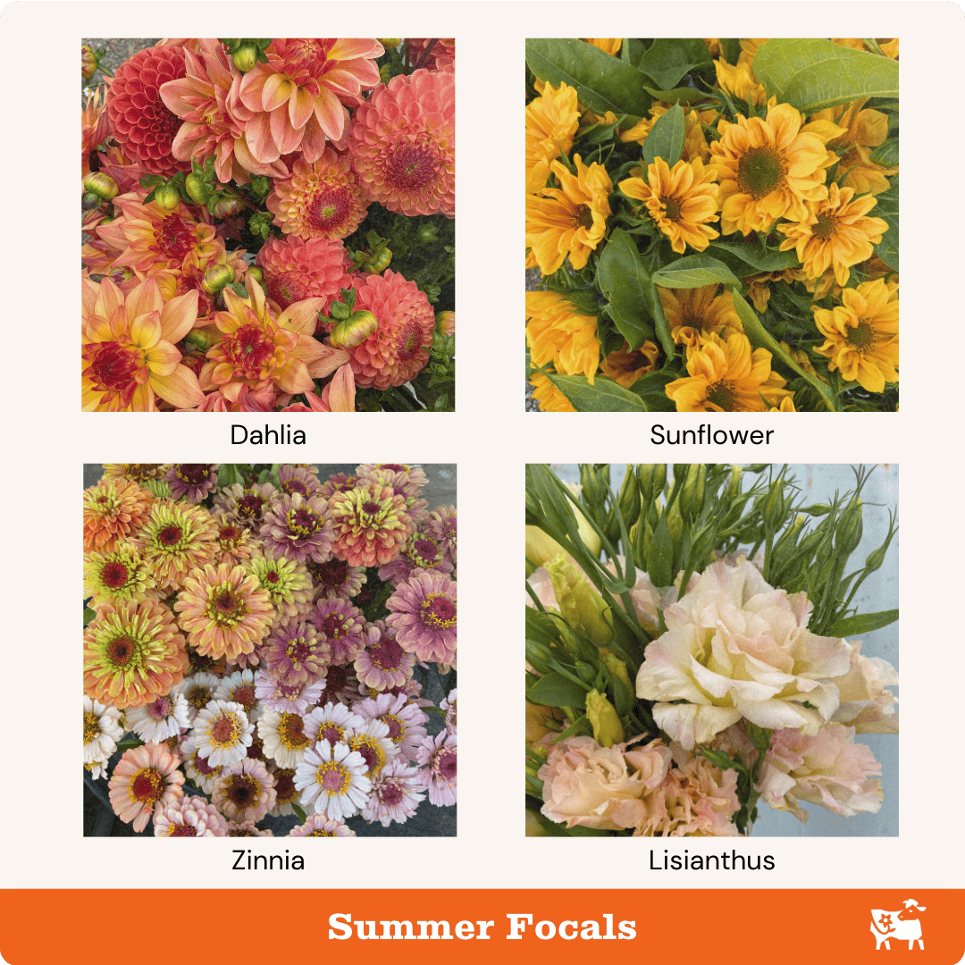 Summer focal flowers are dahlias, sunflowers, zinnias, and lisianthus