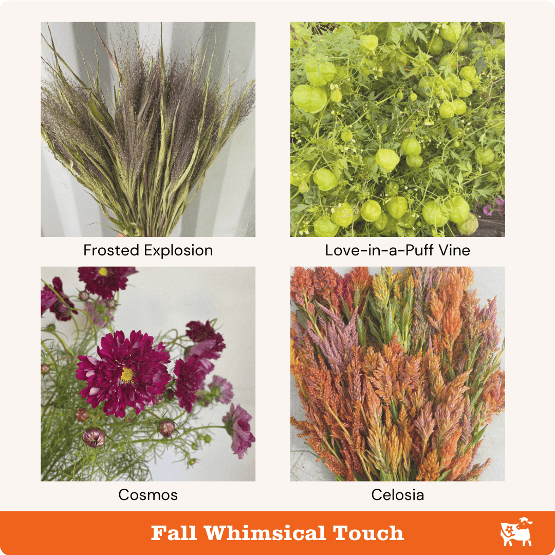 Fall flowers that provide a whimsical touch are frosted explosion, love-in-a-puff vine, cosmos, and celosia