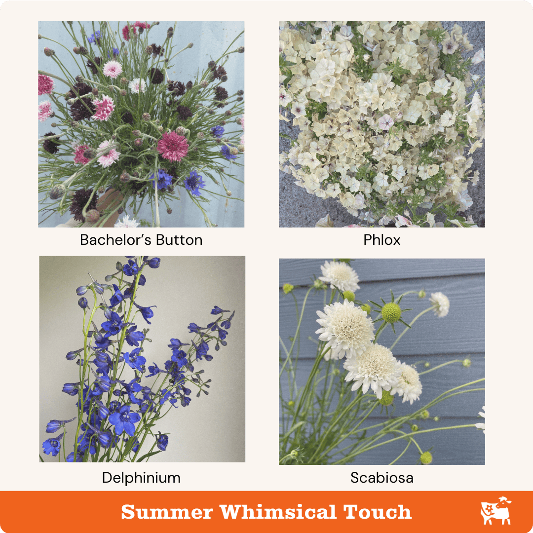 Summer flowers that provide a whimsical touch are bachelor's button, phlox, delphinium, and scabiosa