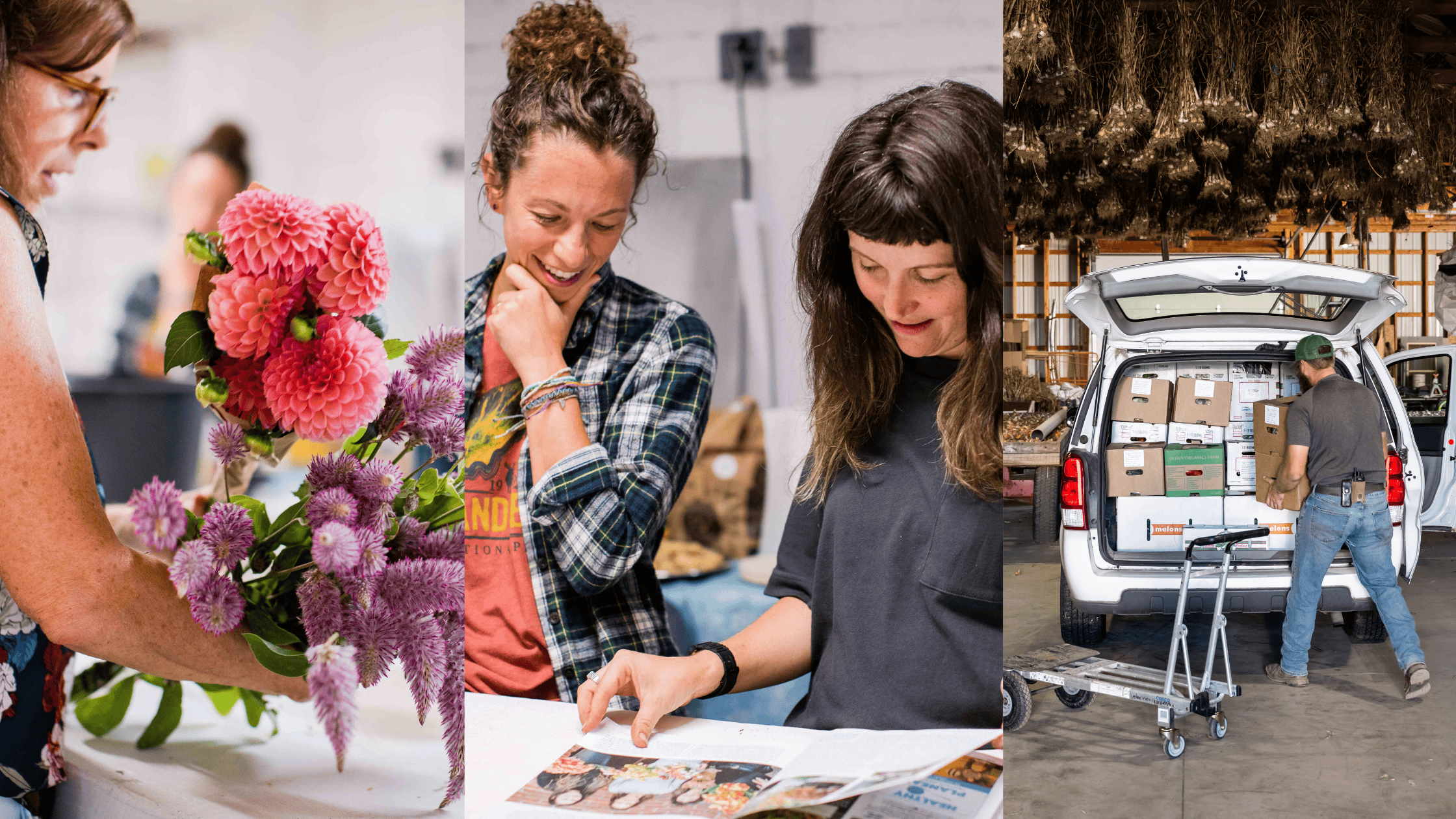 3 images for blog.png