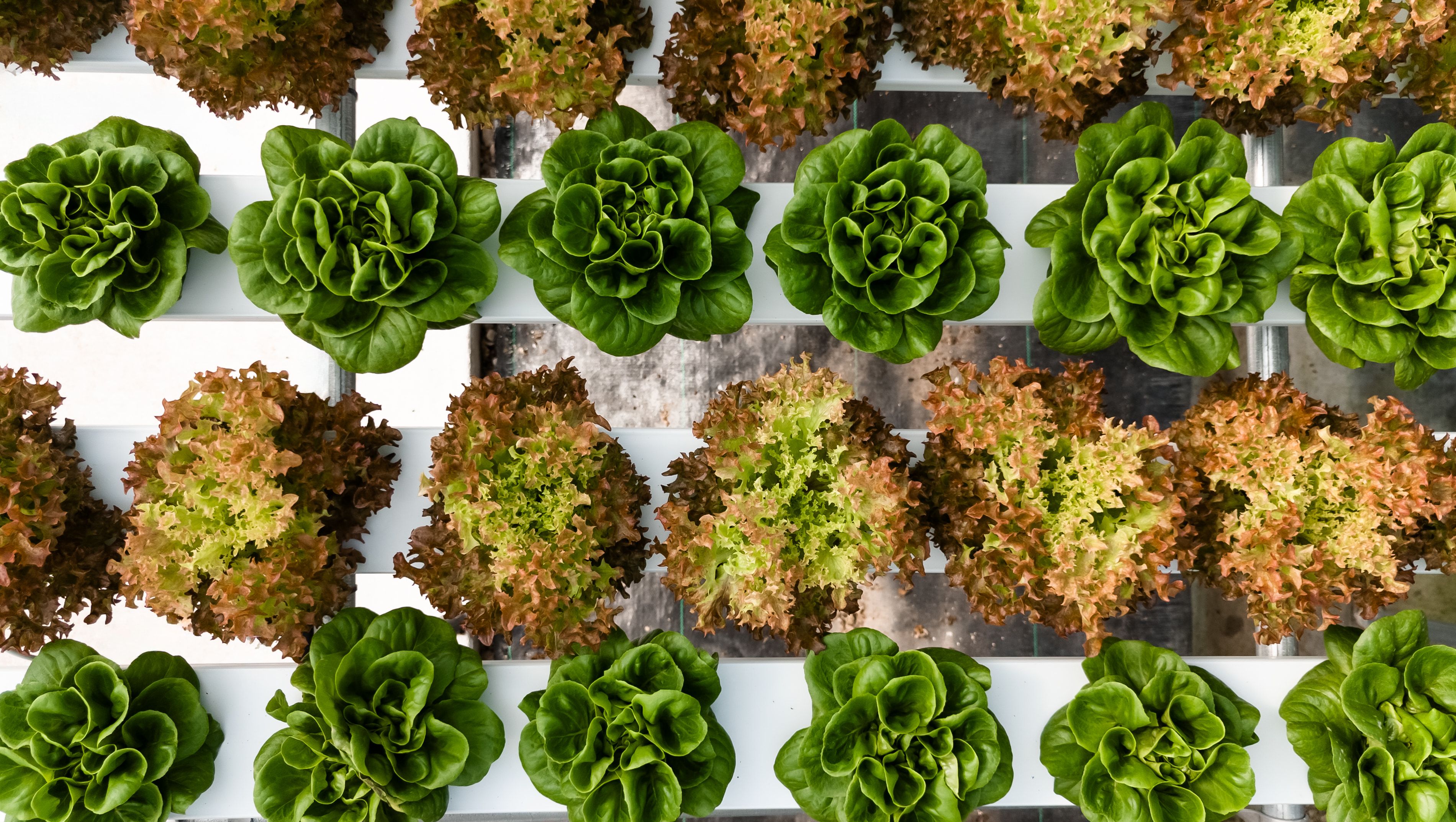 Your Farm, Front and Center: Introducing Updated Public Profiles