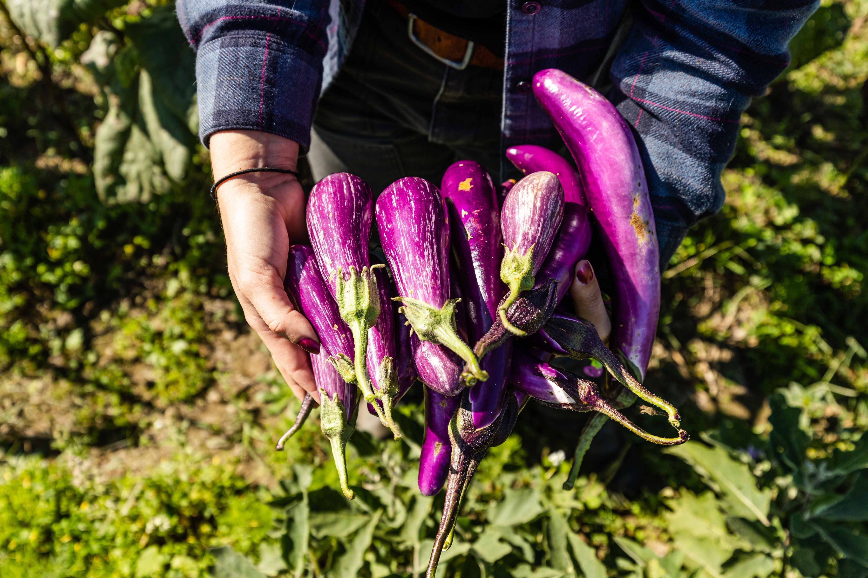 The Burnout Cure:  Reclaim Your Mental Bandwidth with Heavy-Lifting Tools