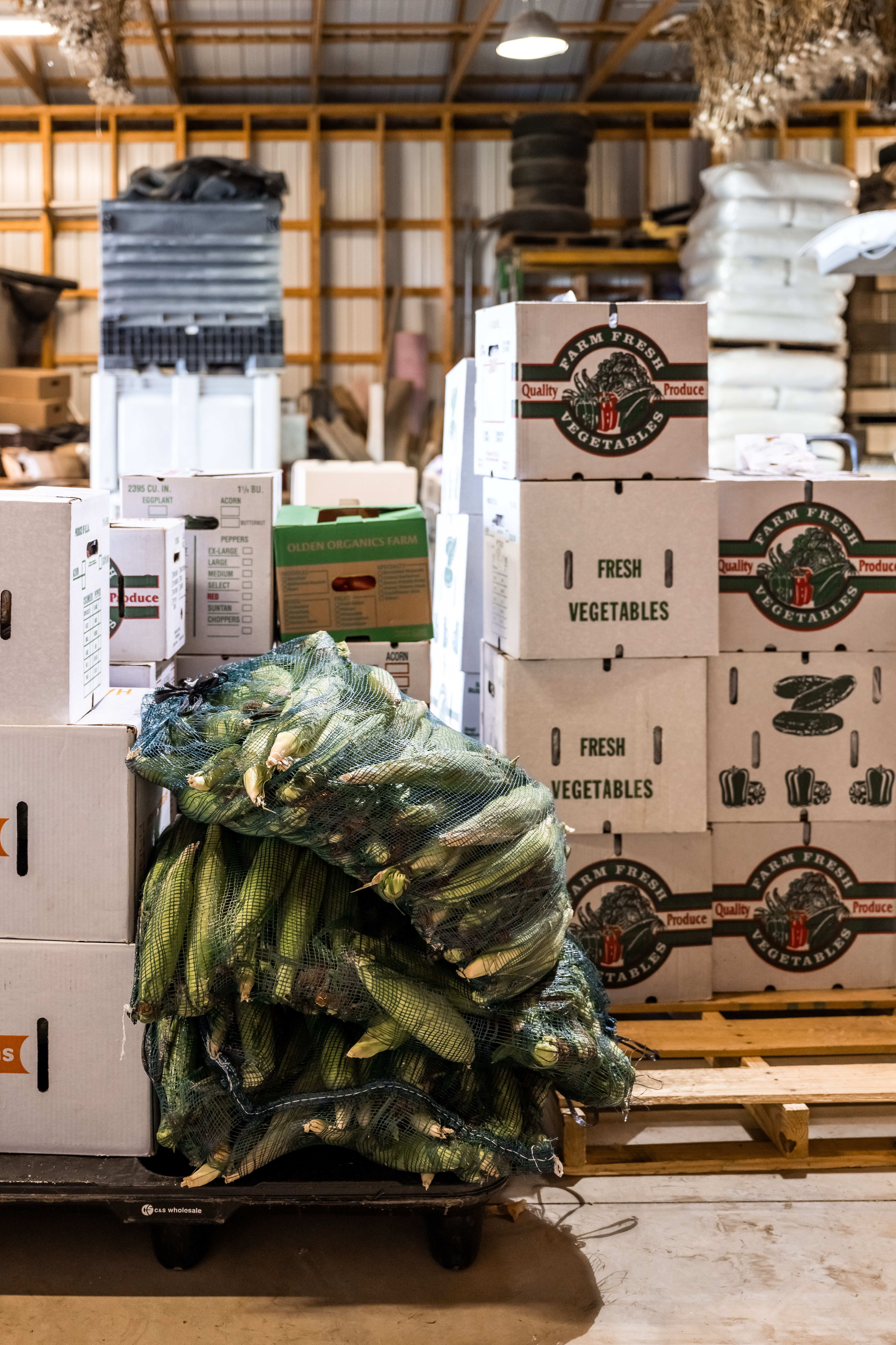Meet Your New Customer Diary: Rooted’s Wholesale Buyer CRM
