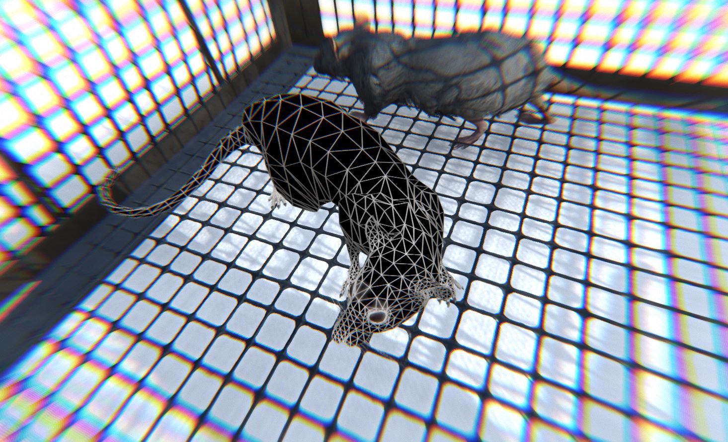 Project still 1
