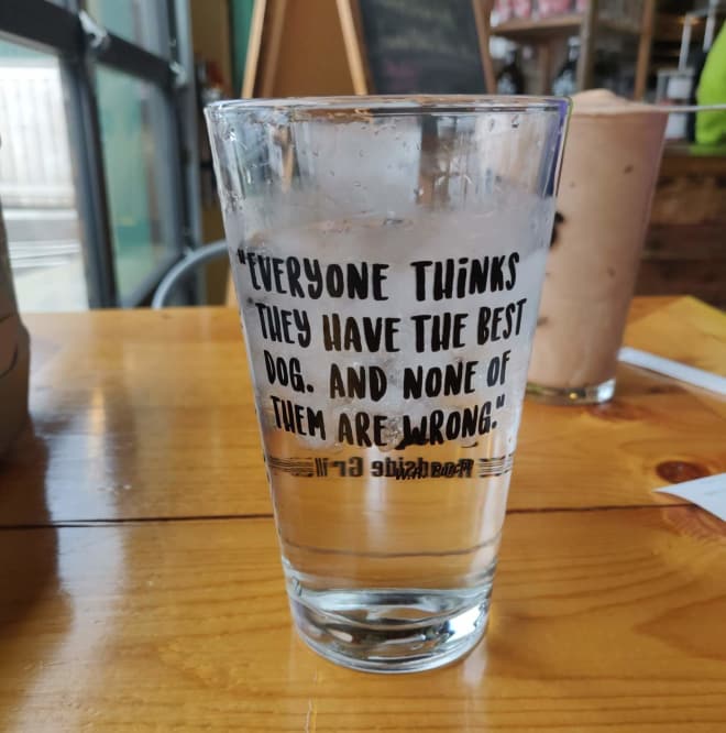 One of several dog-focused pint glasses