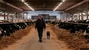 dustin in barn