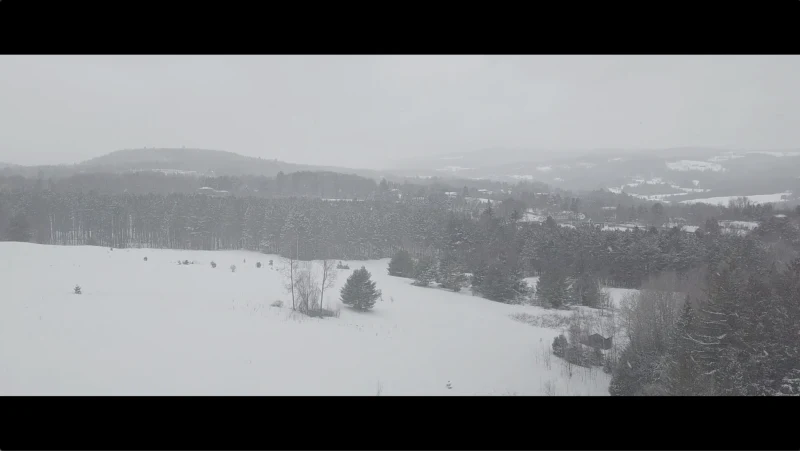 flying drone above winter foreest