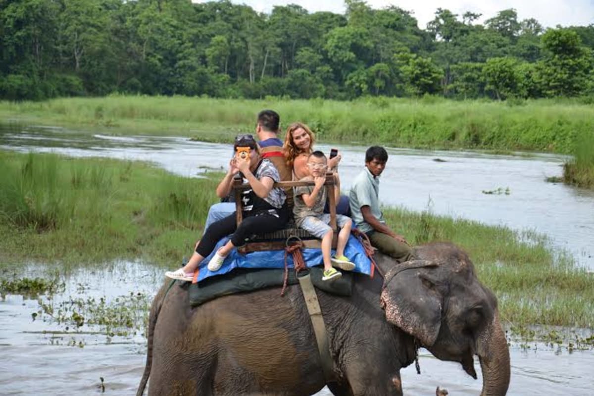 Pokhara to Chitwan Jungle Safari