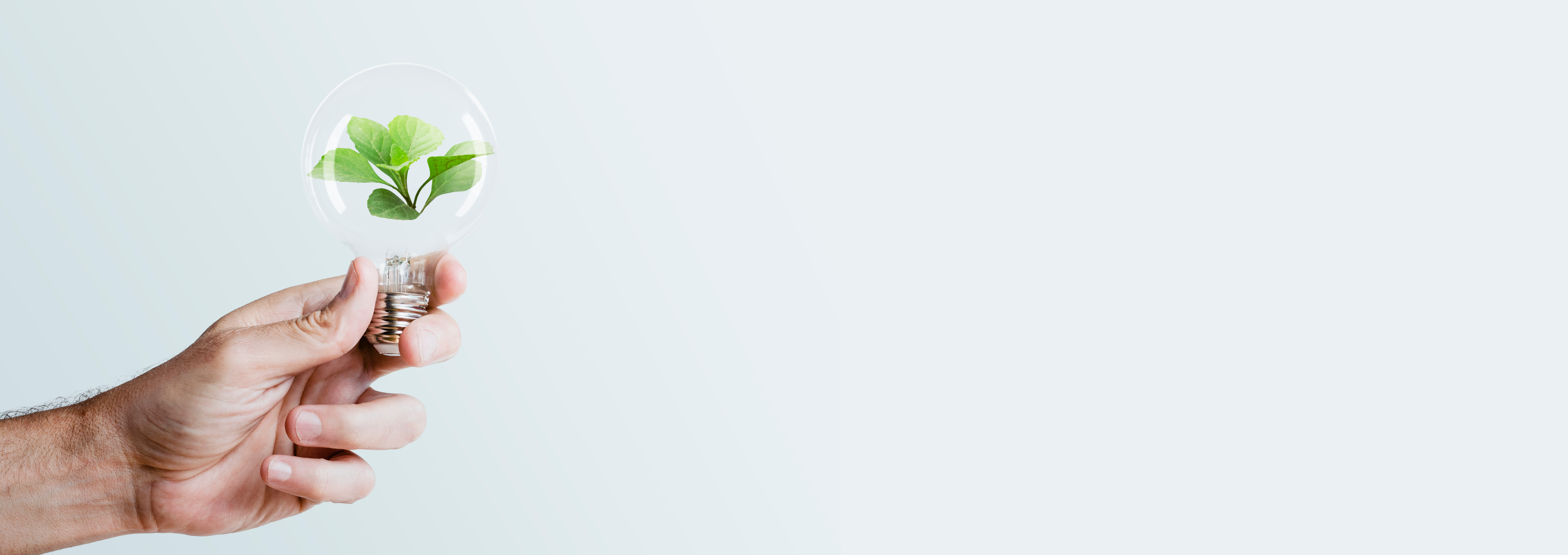 Summer of Code Banner