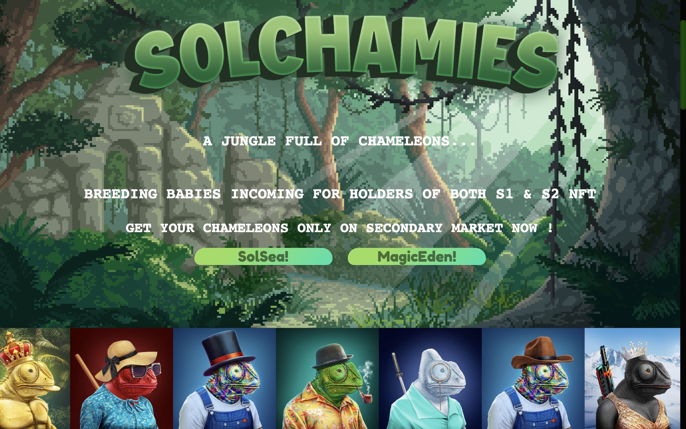 Solchamies - 3D NFT Collection