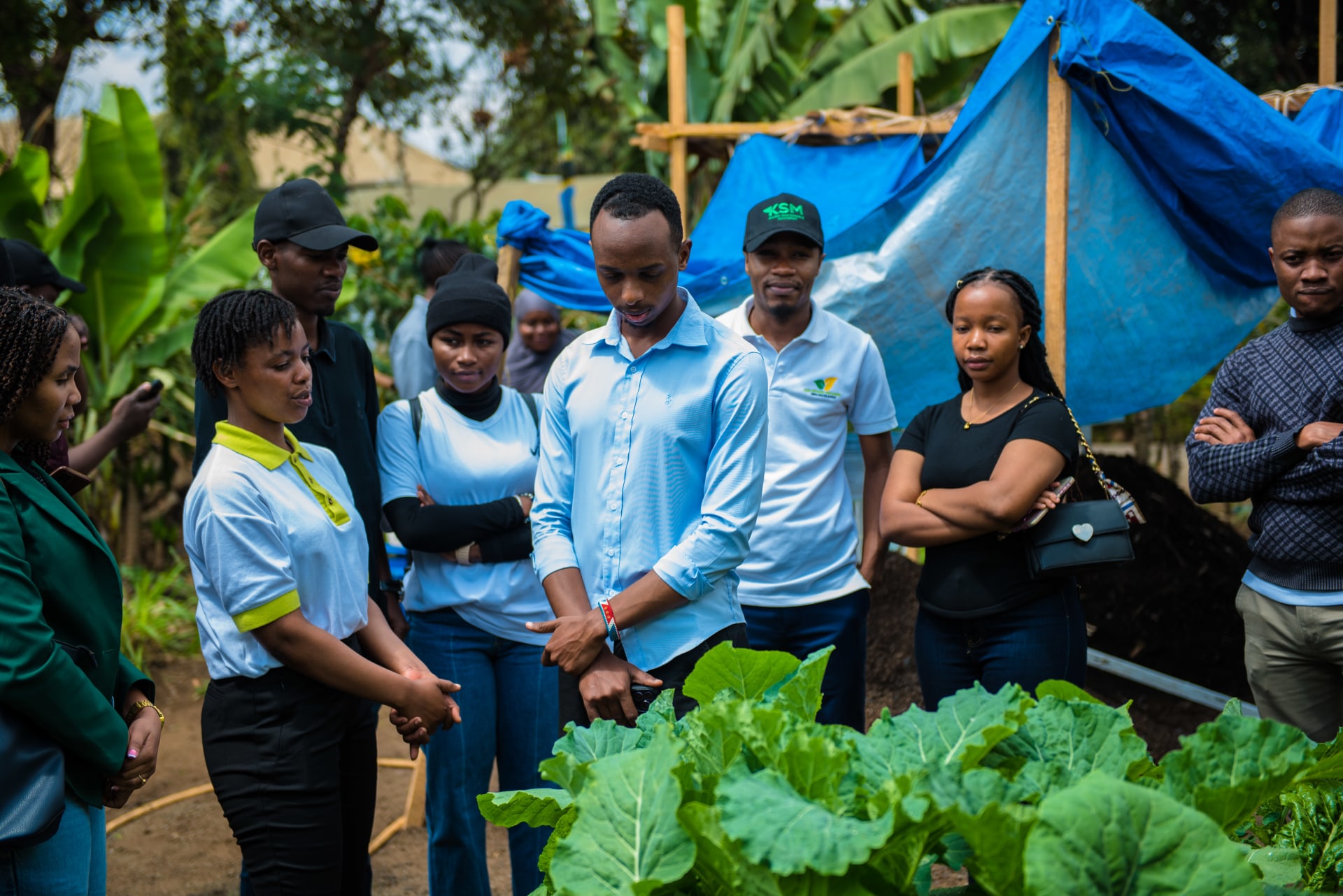 KSM Gallery Image 20