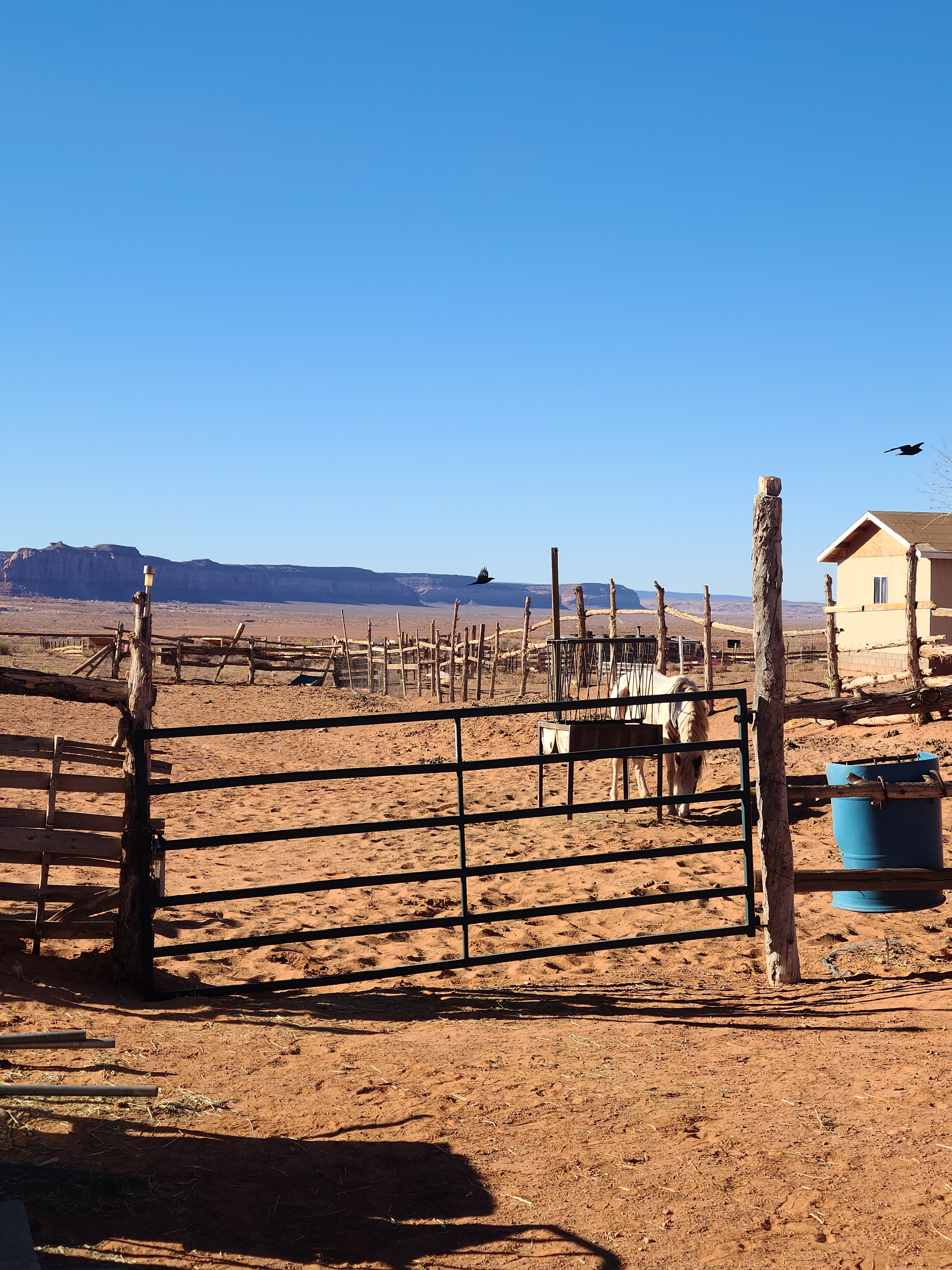 Arizona photography