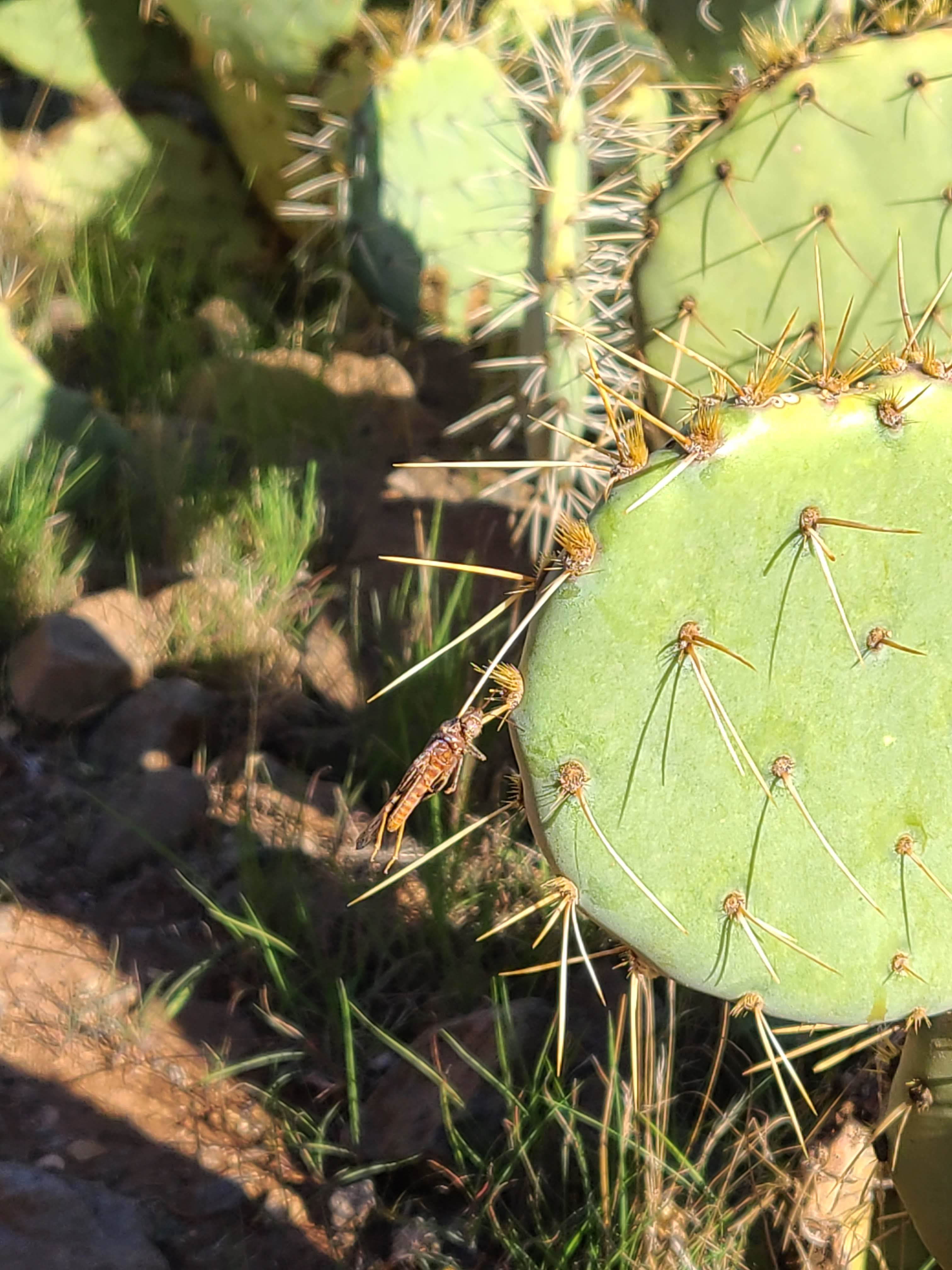 Arizona photography