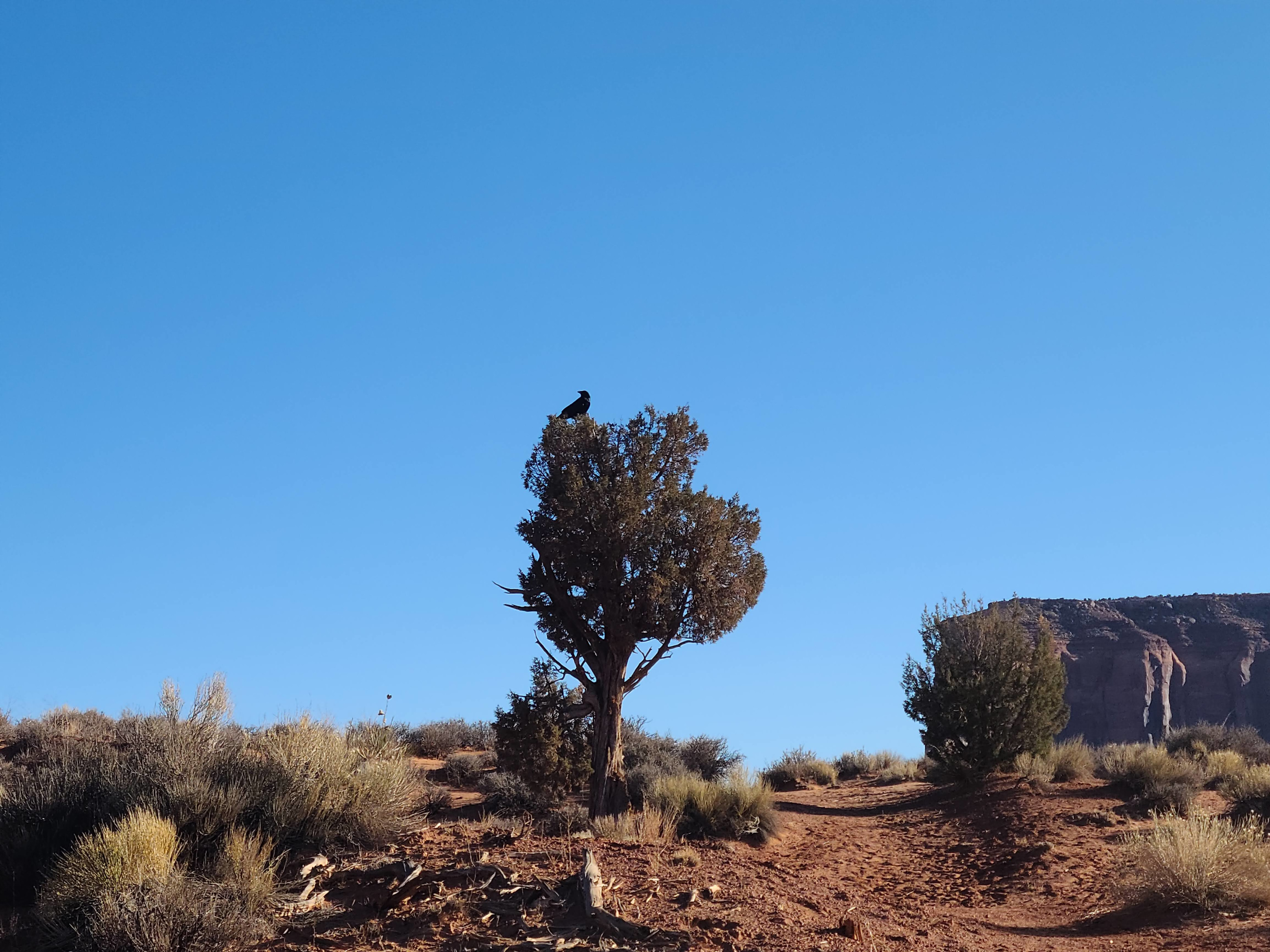 Arizona photography