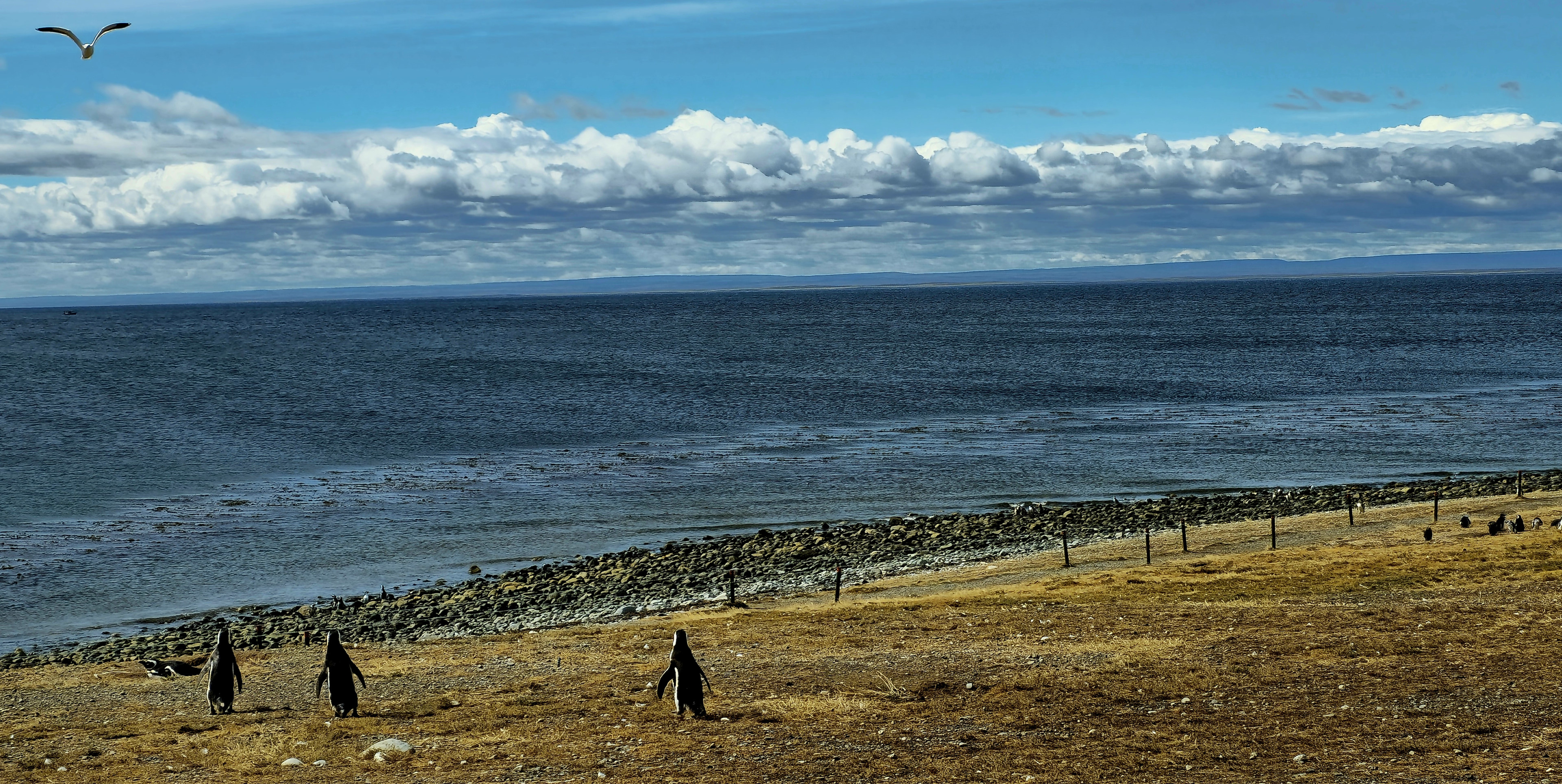 Patagonia photography