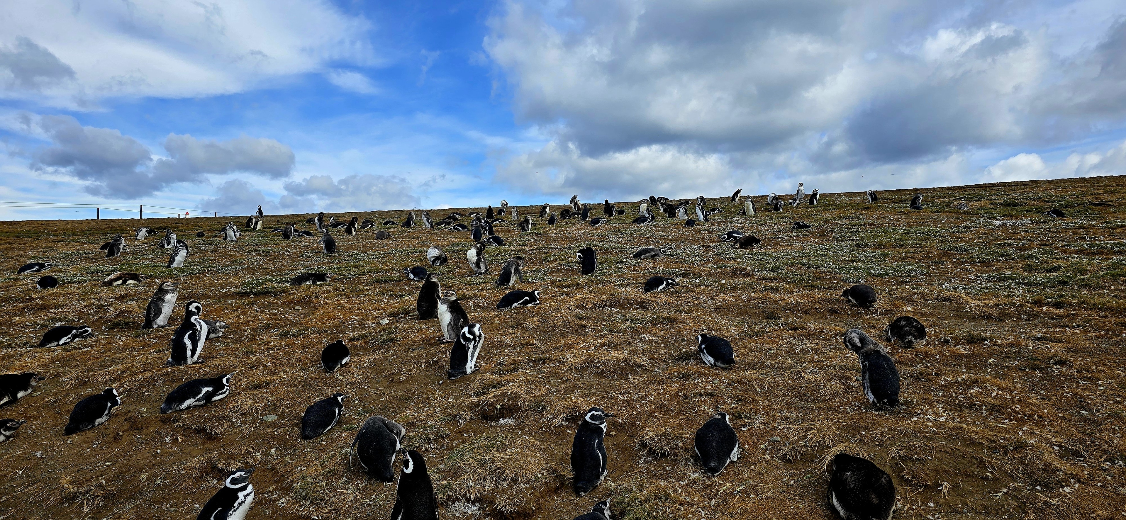 Patagonia photography
