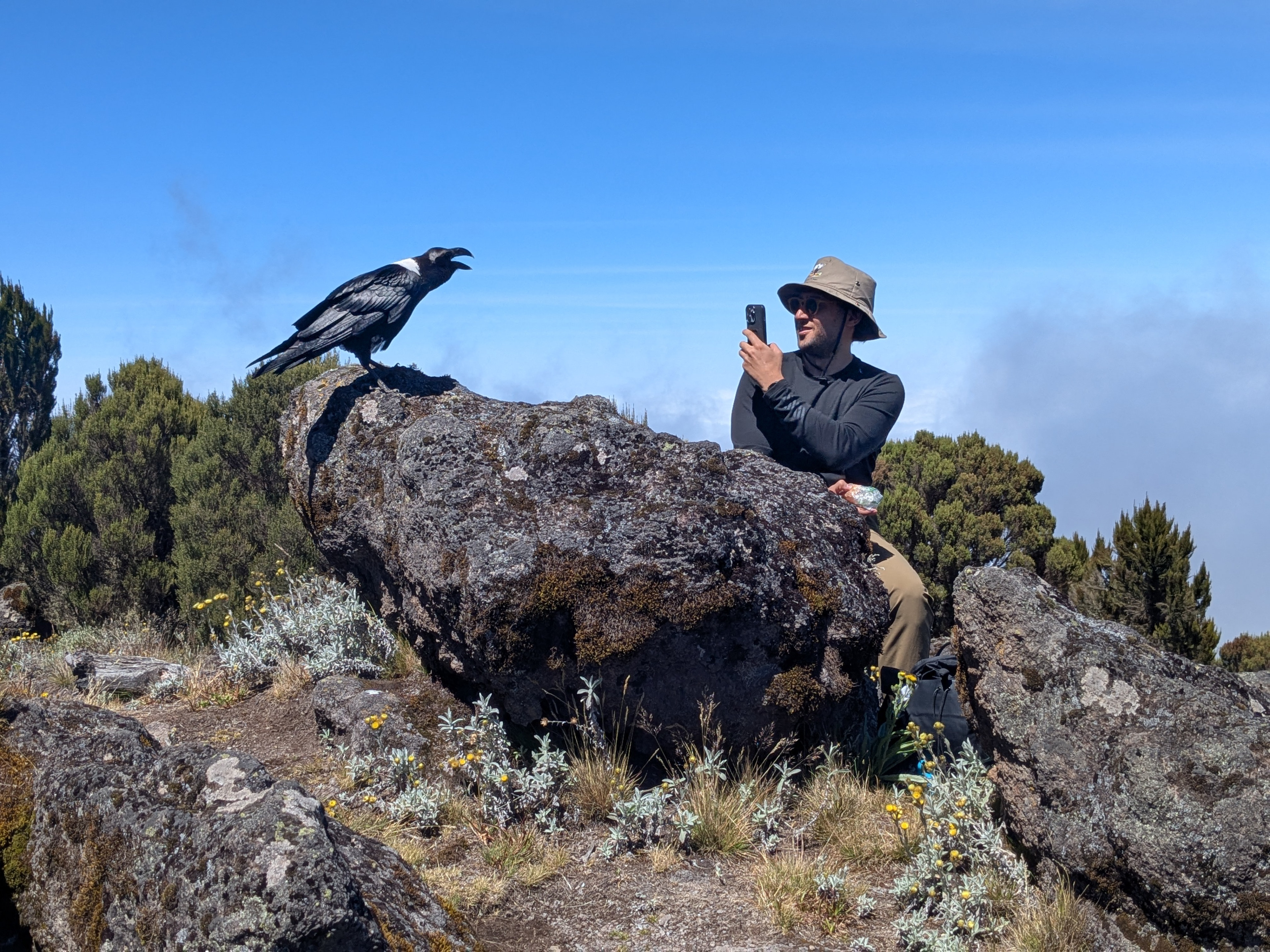 Kilimanjaro photography