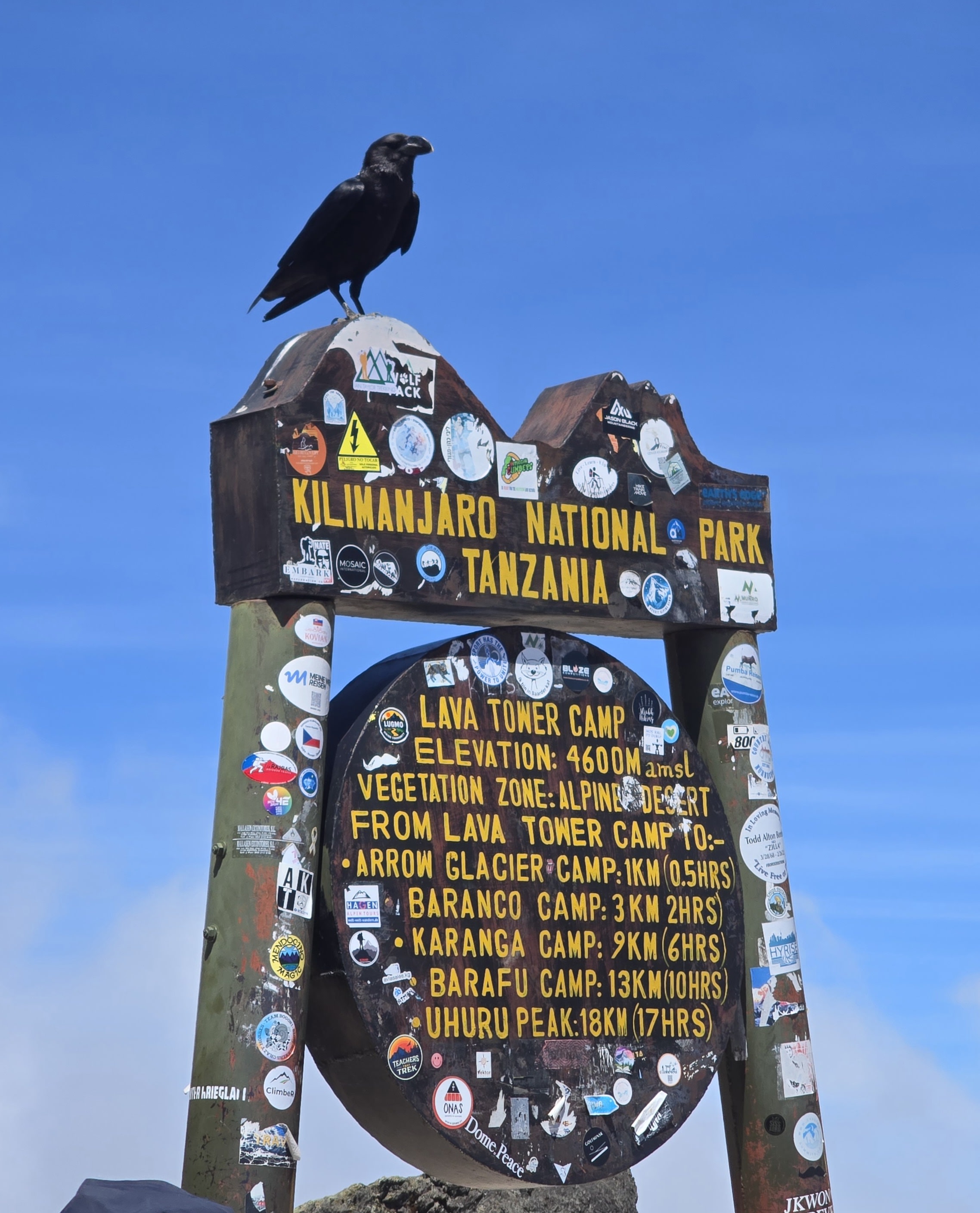 Kilimanjaro photography