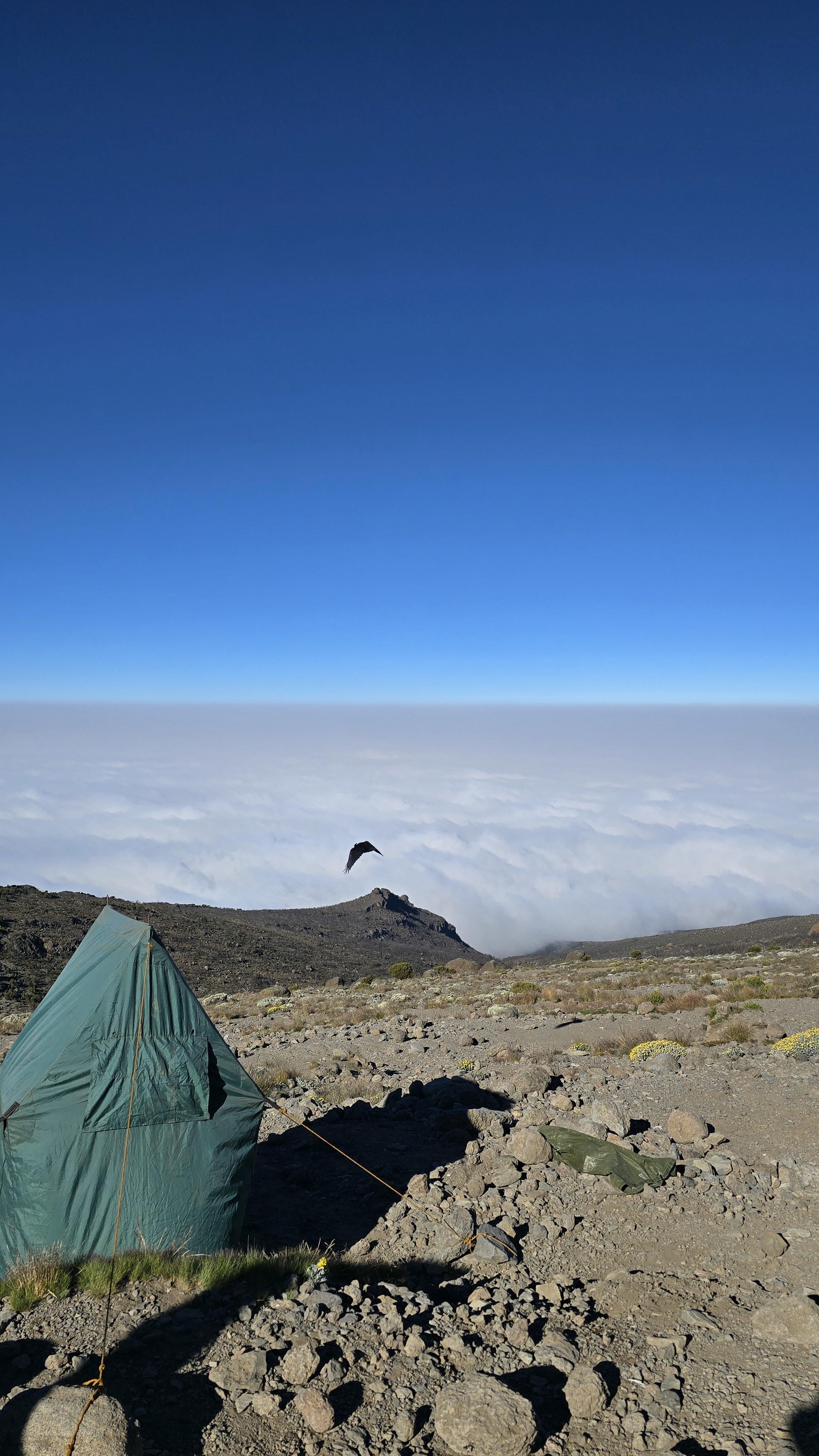 Kilimanjaro photography