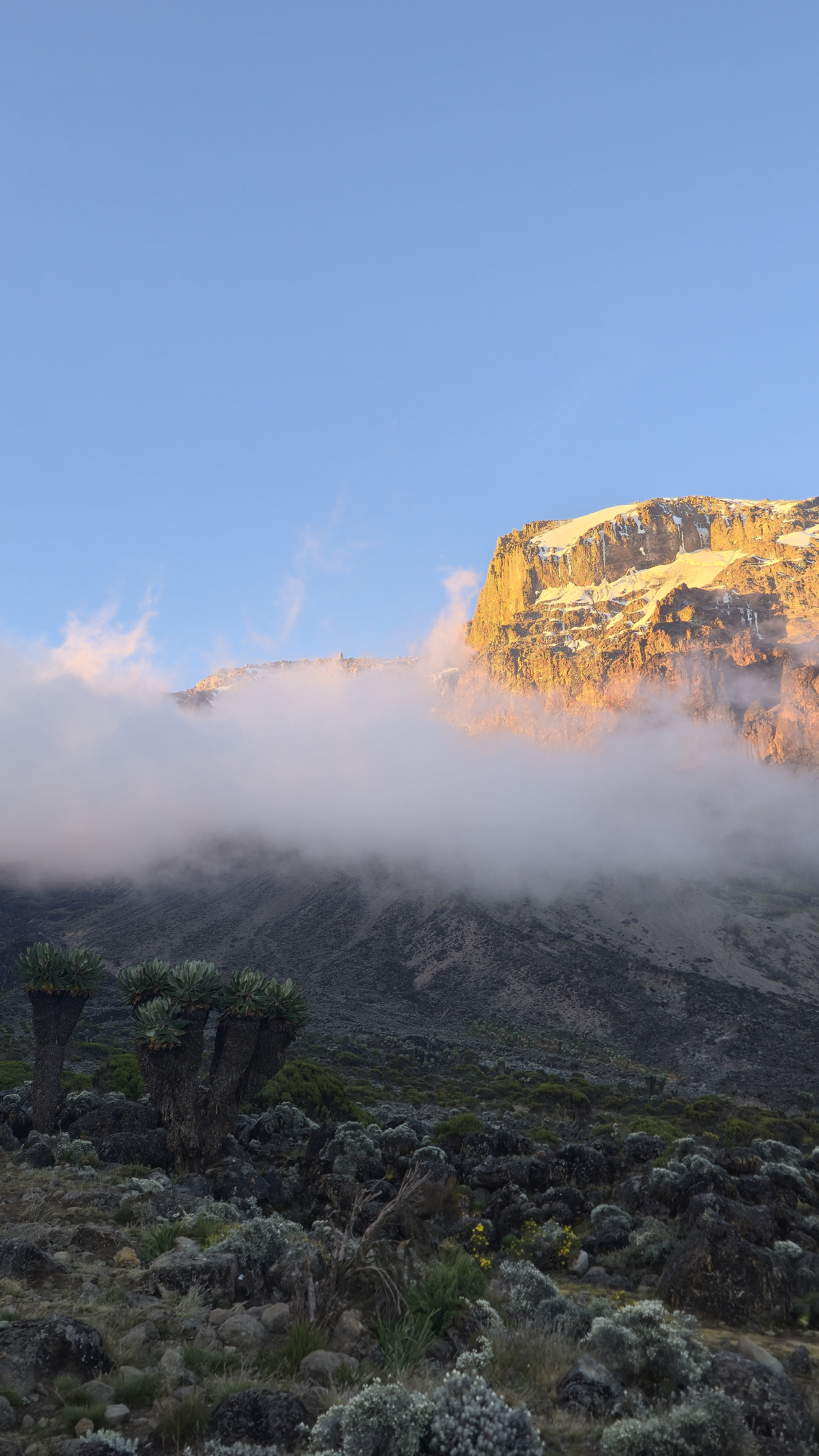 Kilimanjaro photography