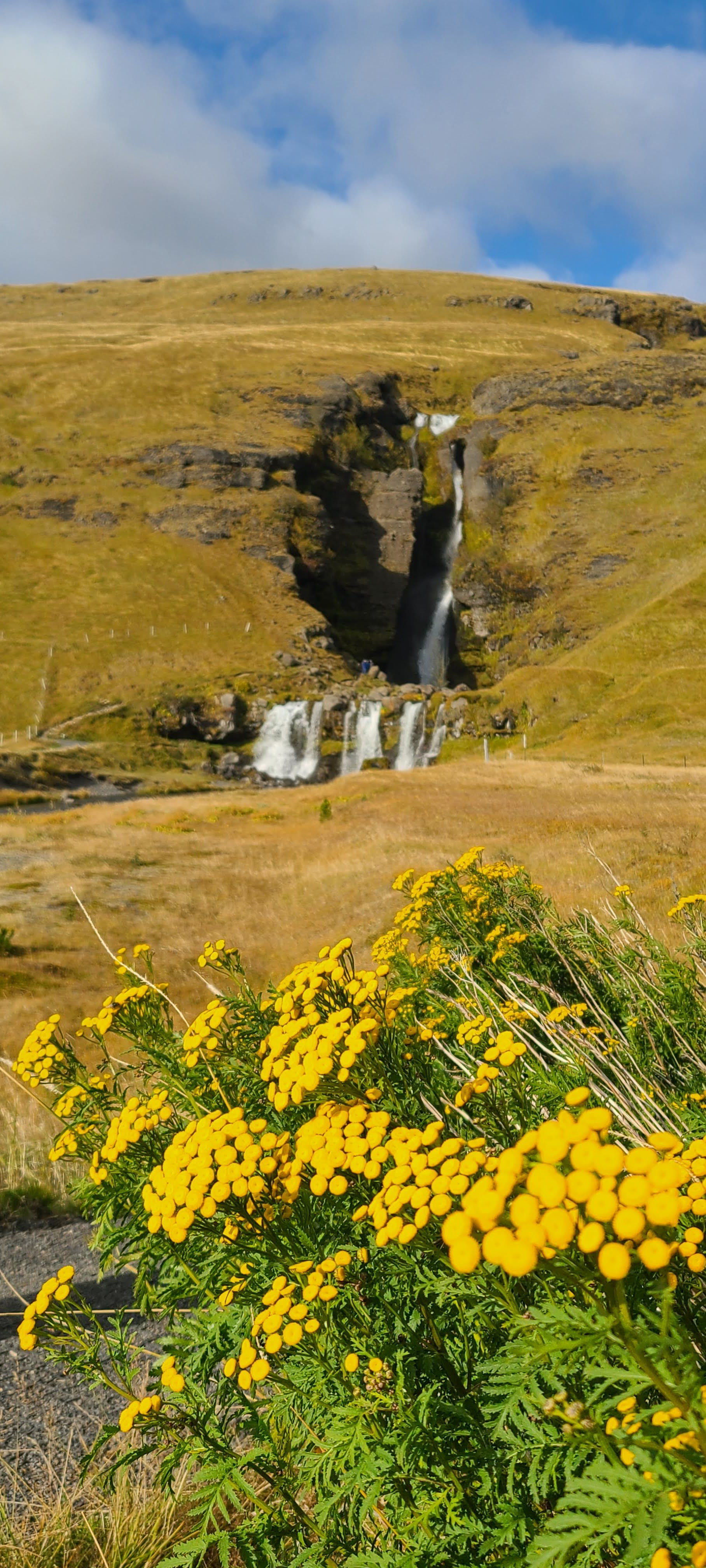 Iceland photography
