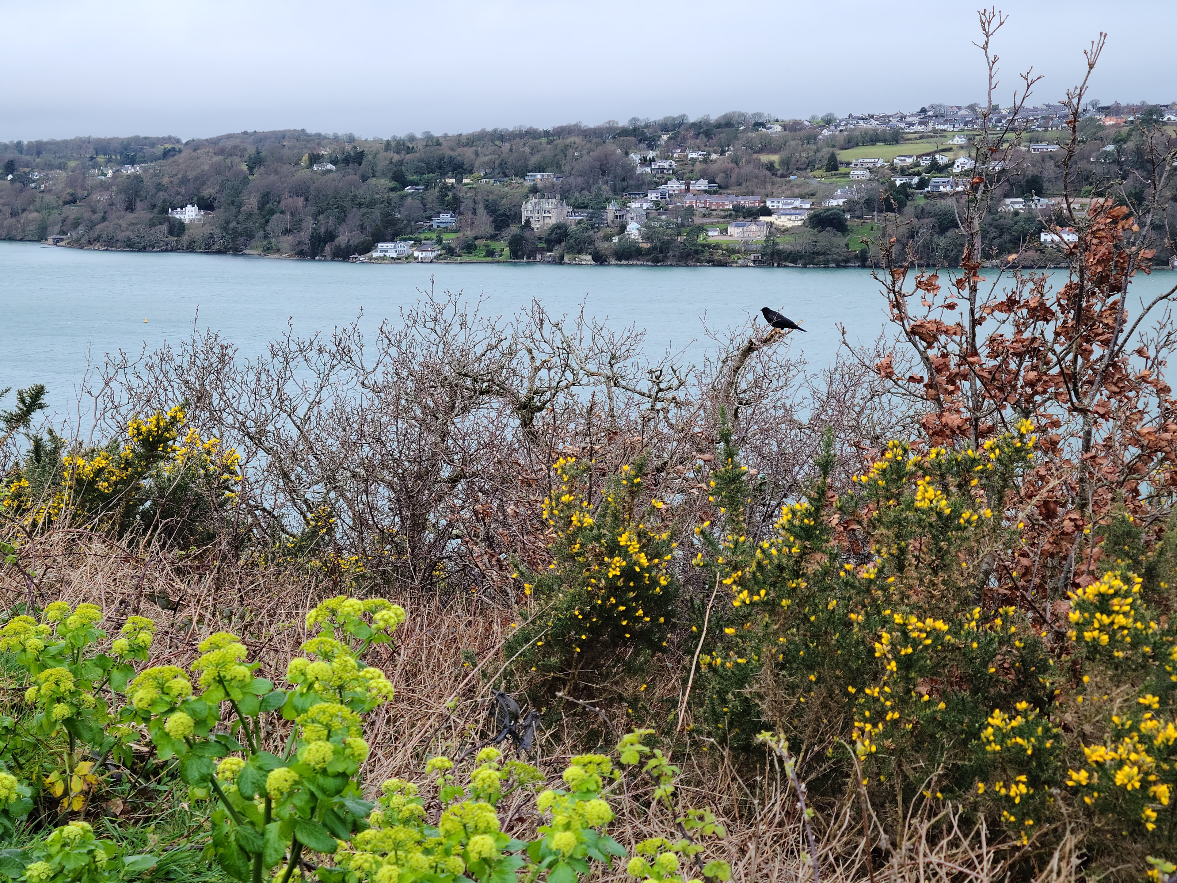 Wales photography