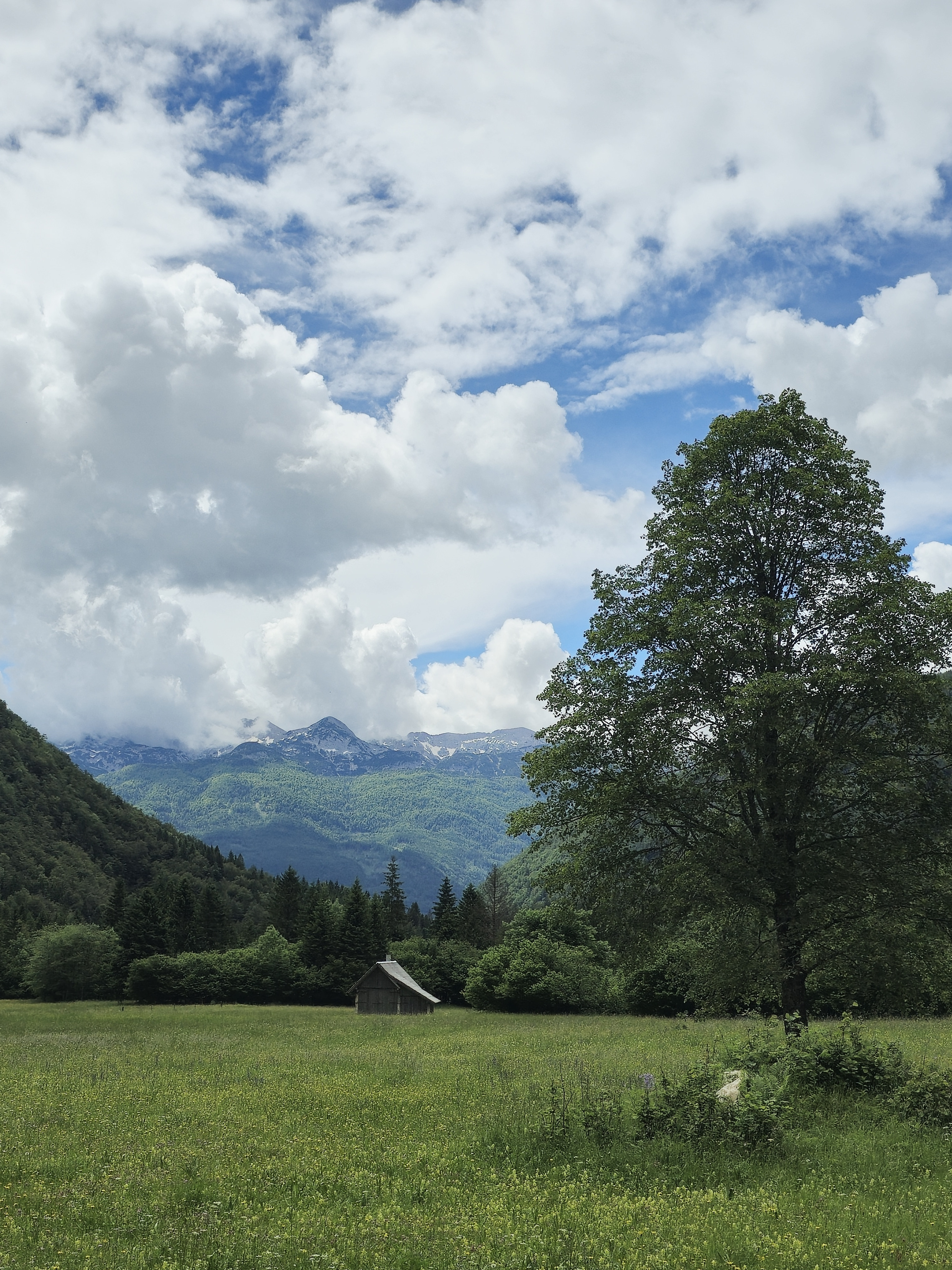 Slovenia photography