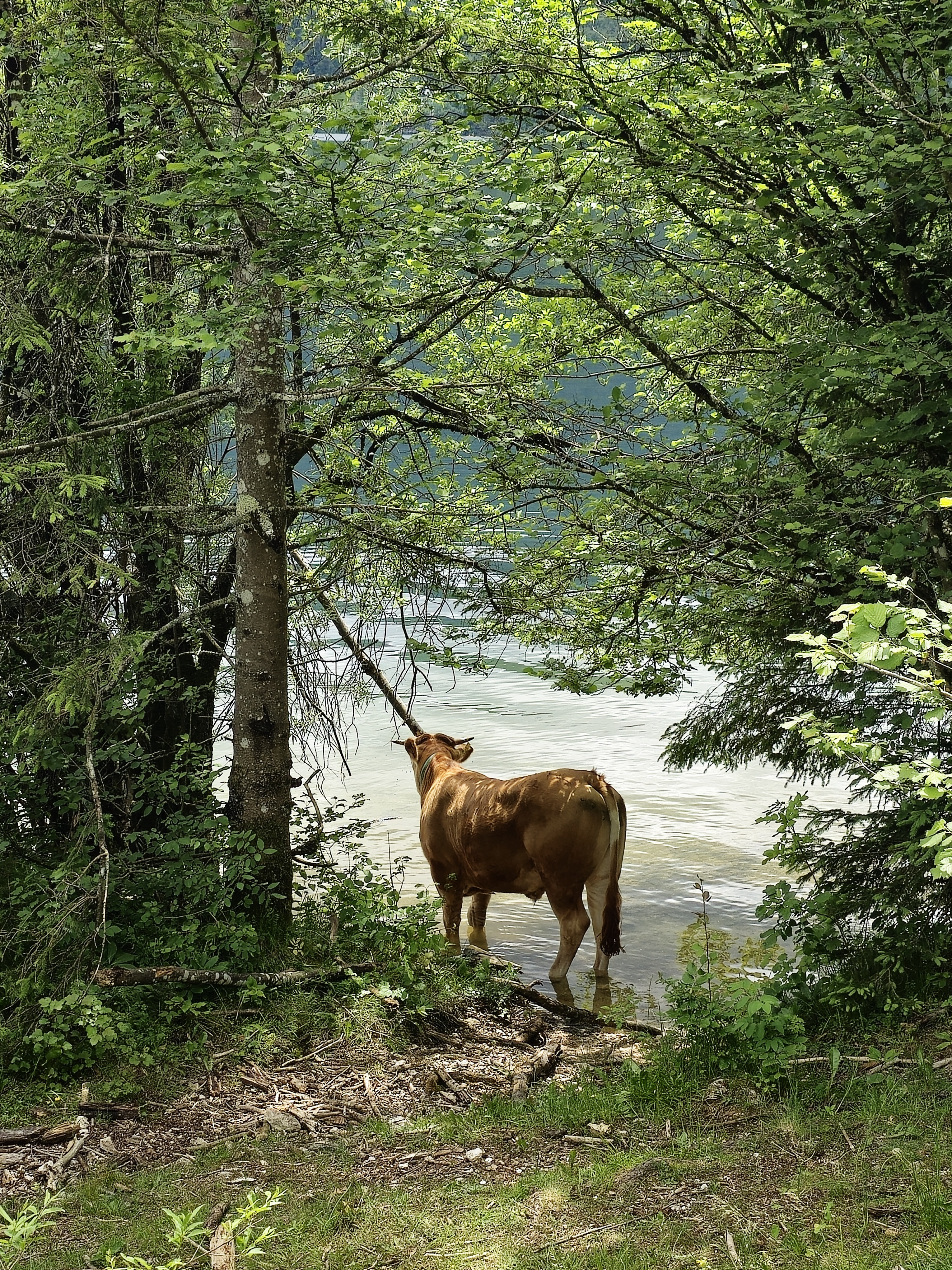 Slovenia photography