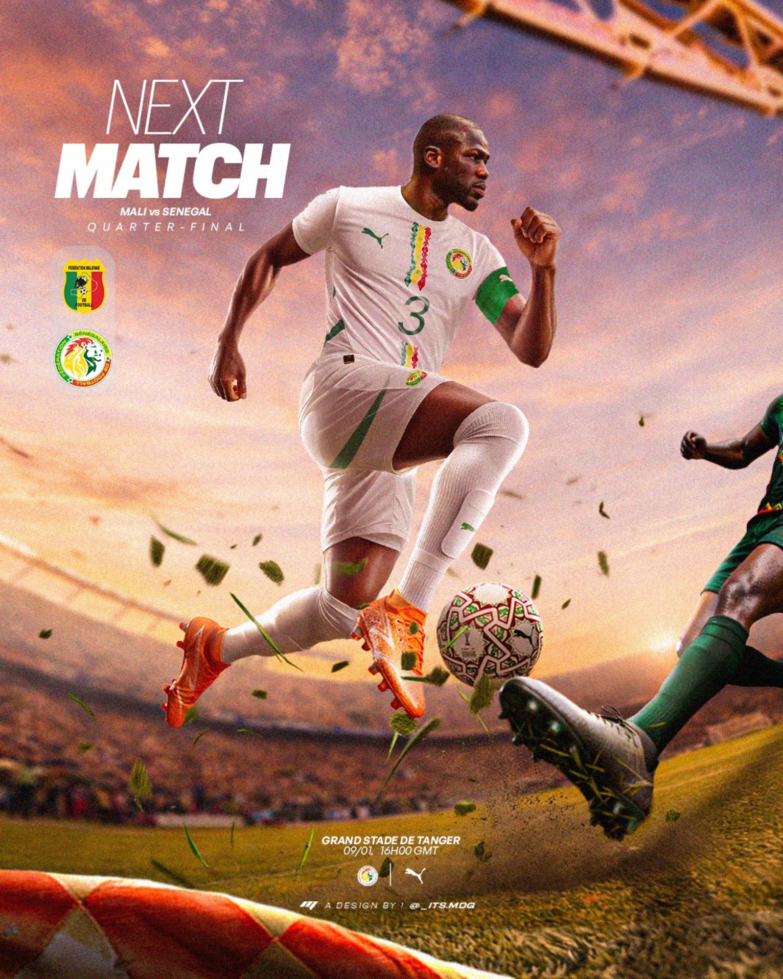 Lions du Sénégal