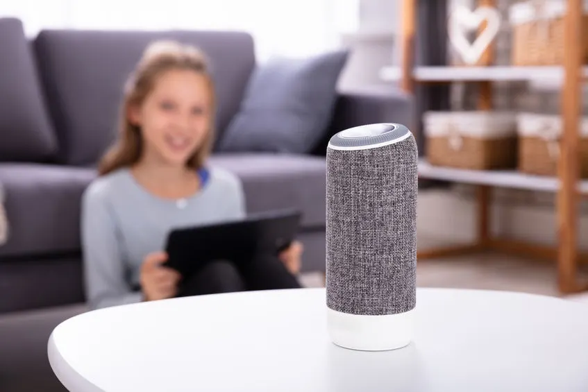 Close-up Of A Wireless Speaker On Furniture