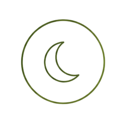 Sleep Quality