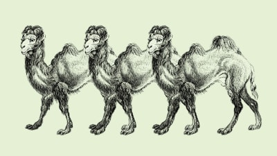 The dangers of design by committee in branding