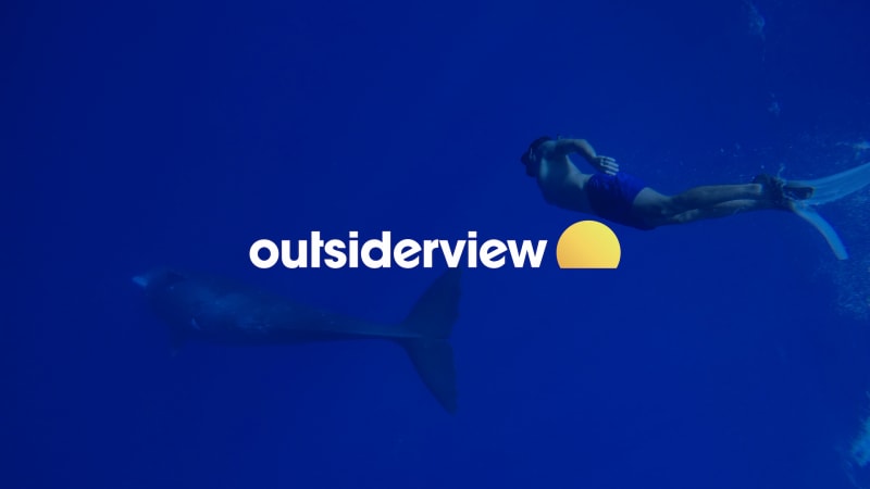 OutsiderView branding case study