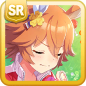 [お守りパワーで福徳円満！]マチカネフクキタル