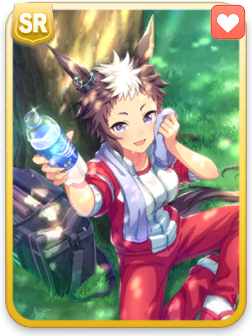 [鼓動が速まるクールダウン]メジロライアン