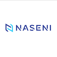 National Agency for Science and Engineering Infrastructure (NASENI) logo