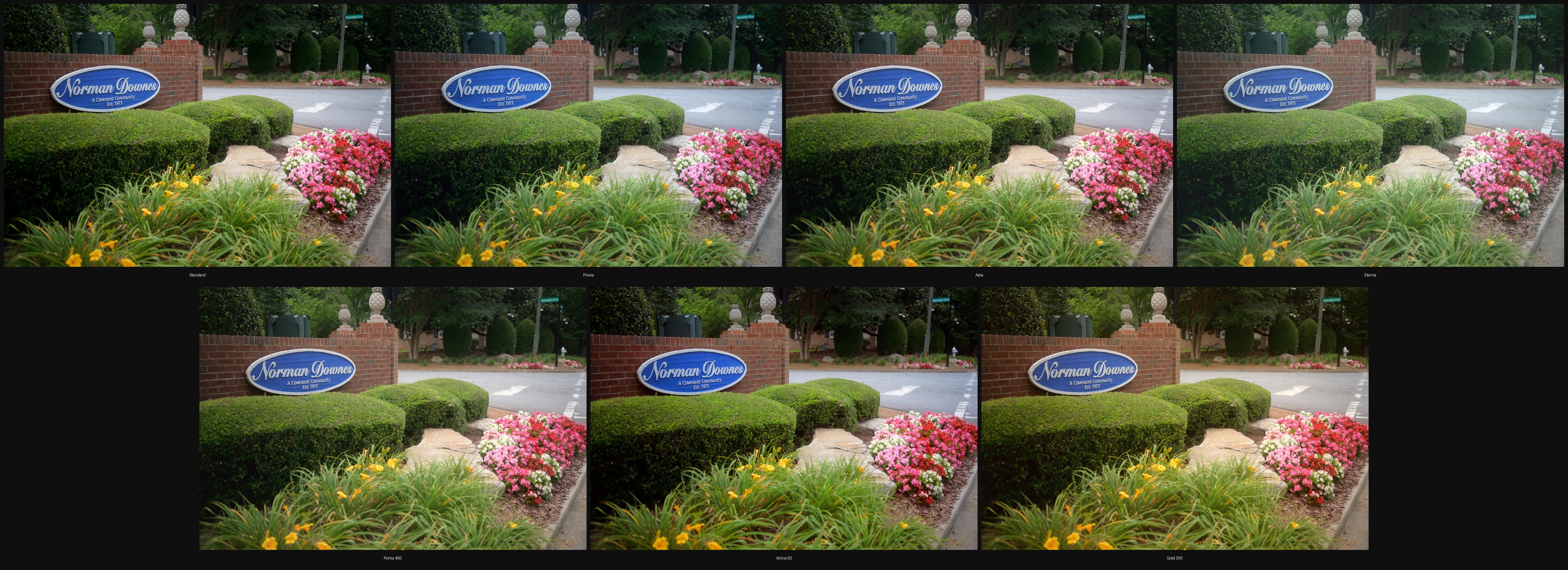 All 6 LUT simulations compared side by side on the same scene