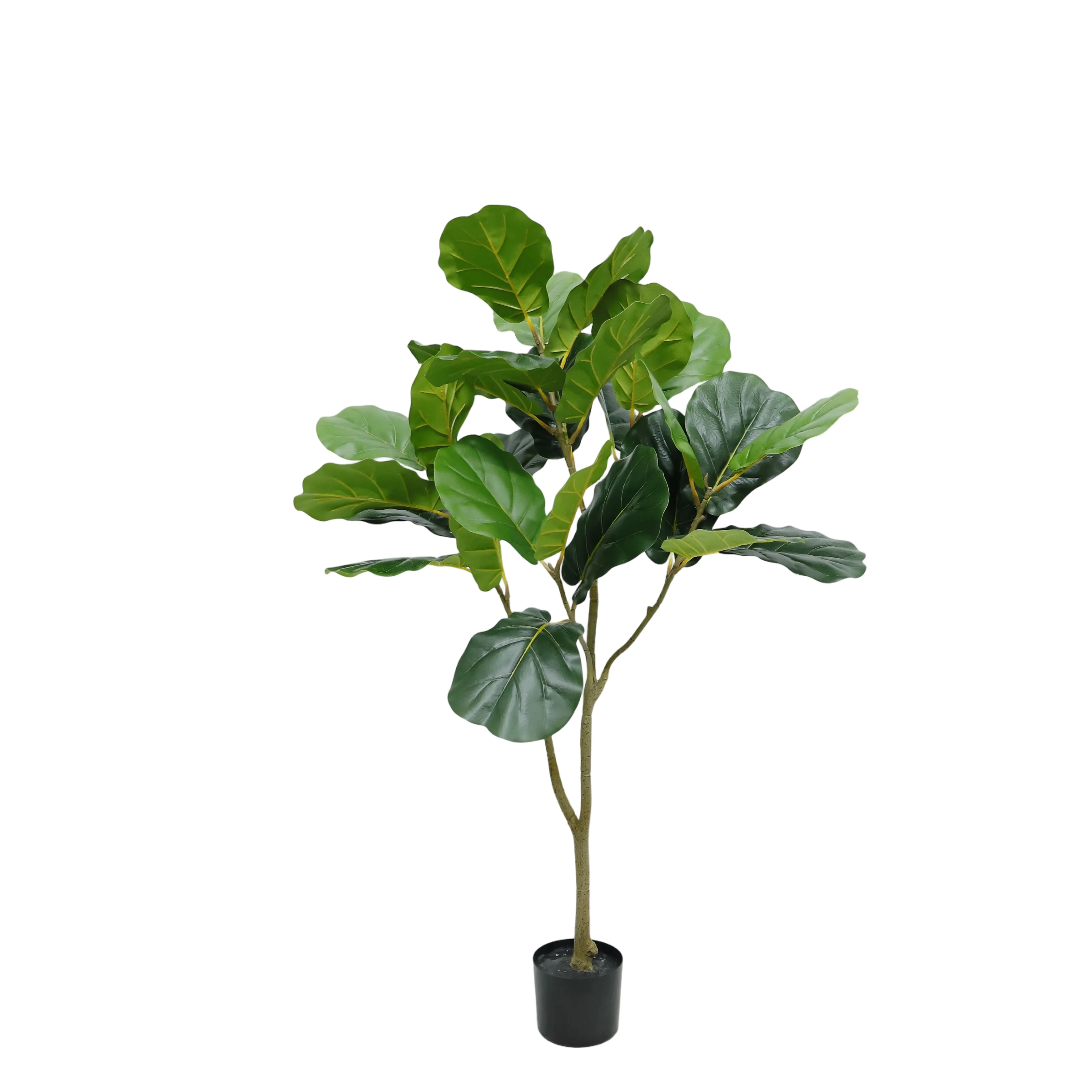 Fiddle leaf fig tree, 130cm
