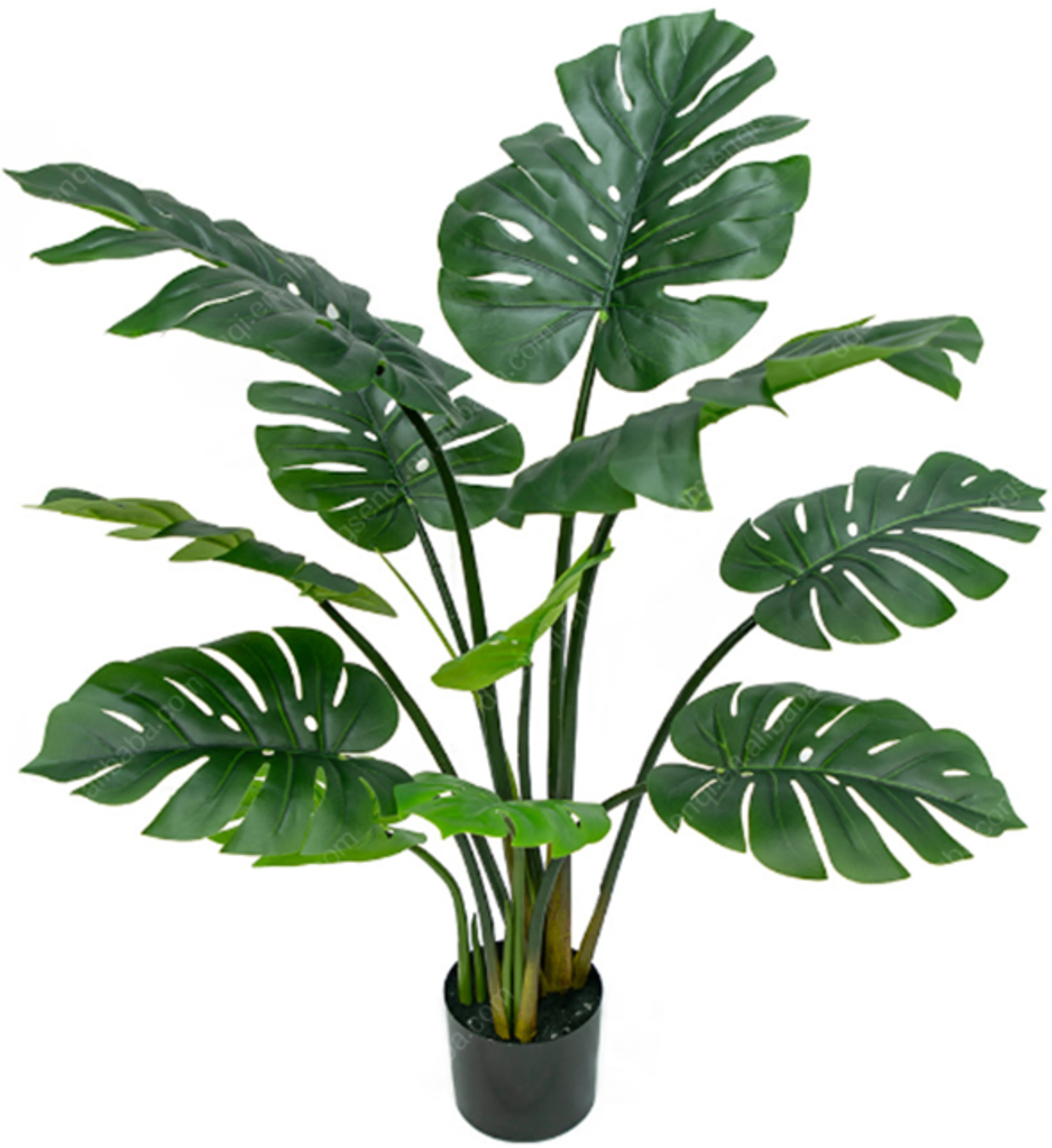 Monstera tree, 110cm