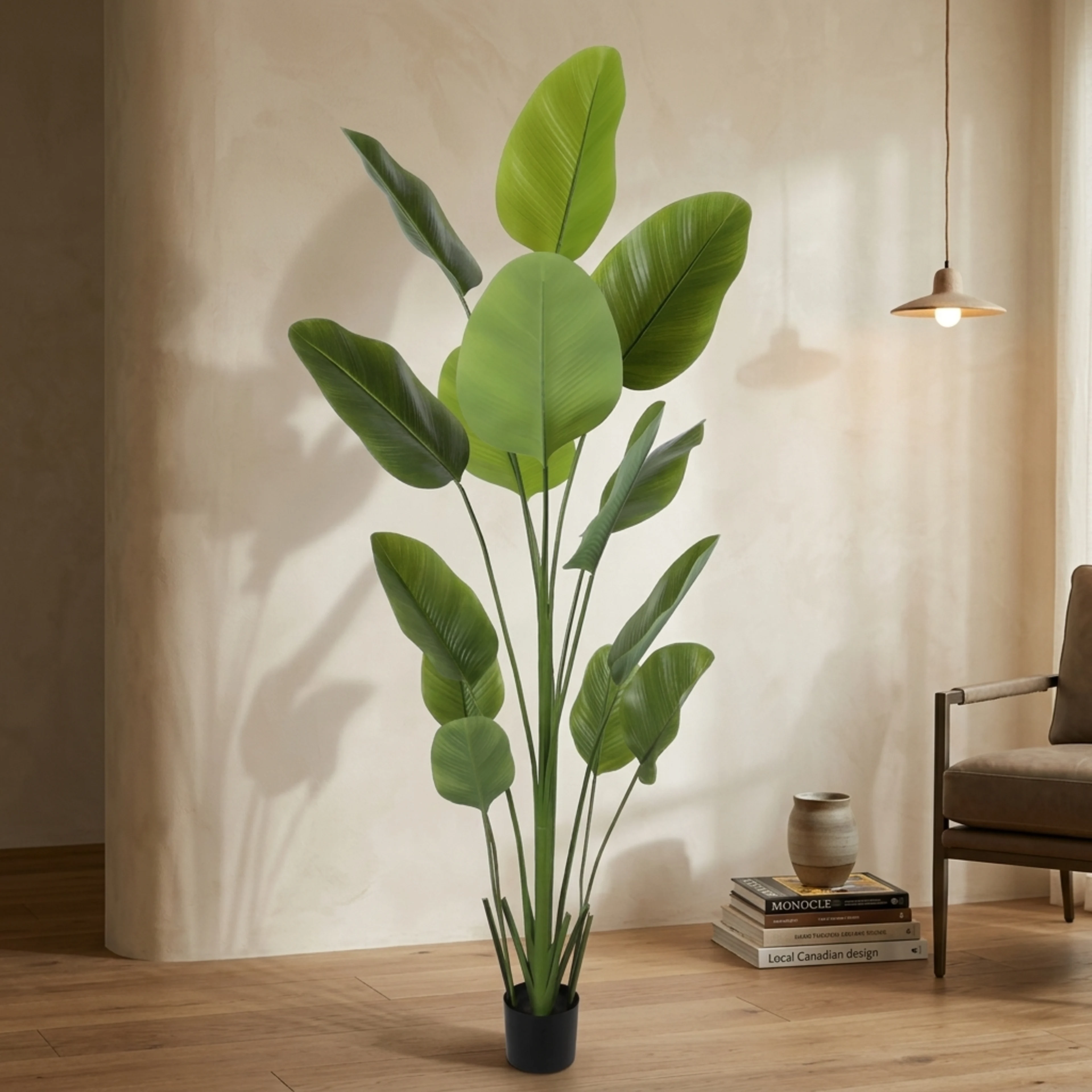 Traveller's tree (banana tree), 7ft