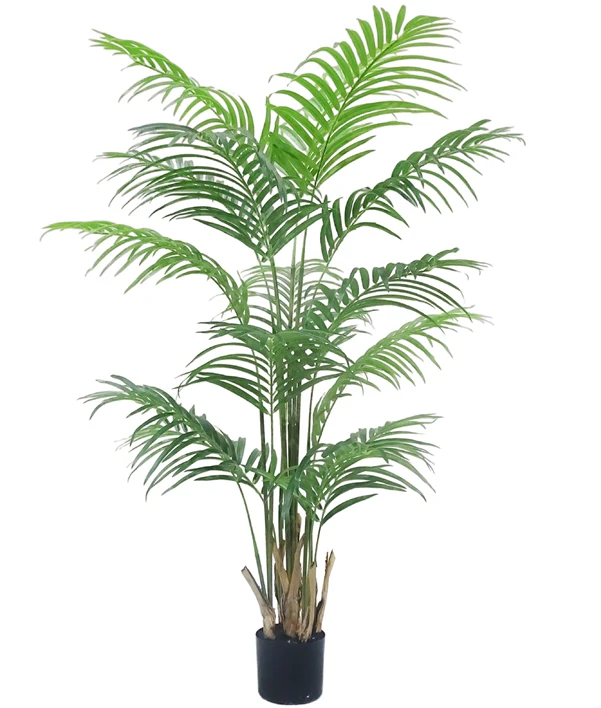 Palm tree, 5ft