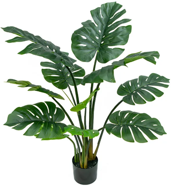 Monstera tree, 4ft